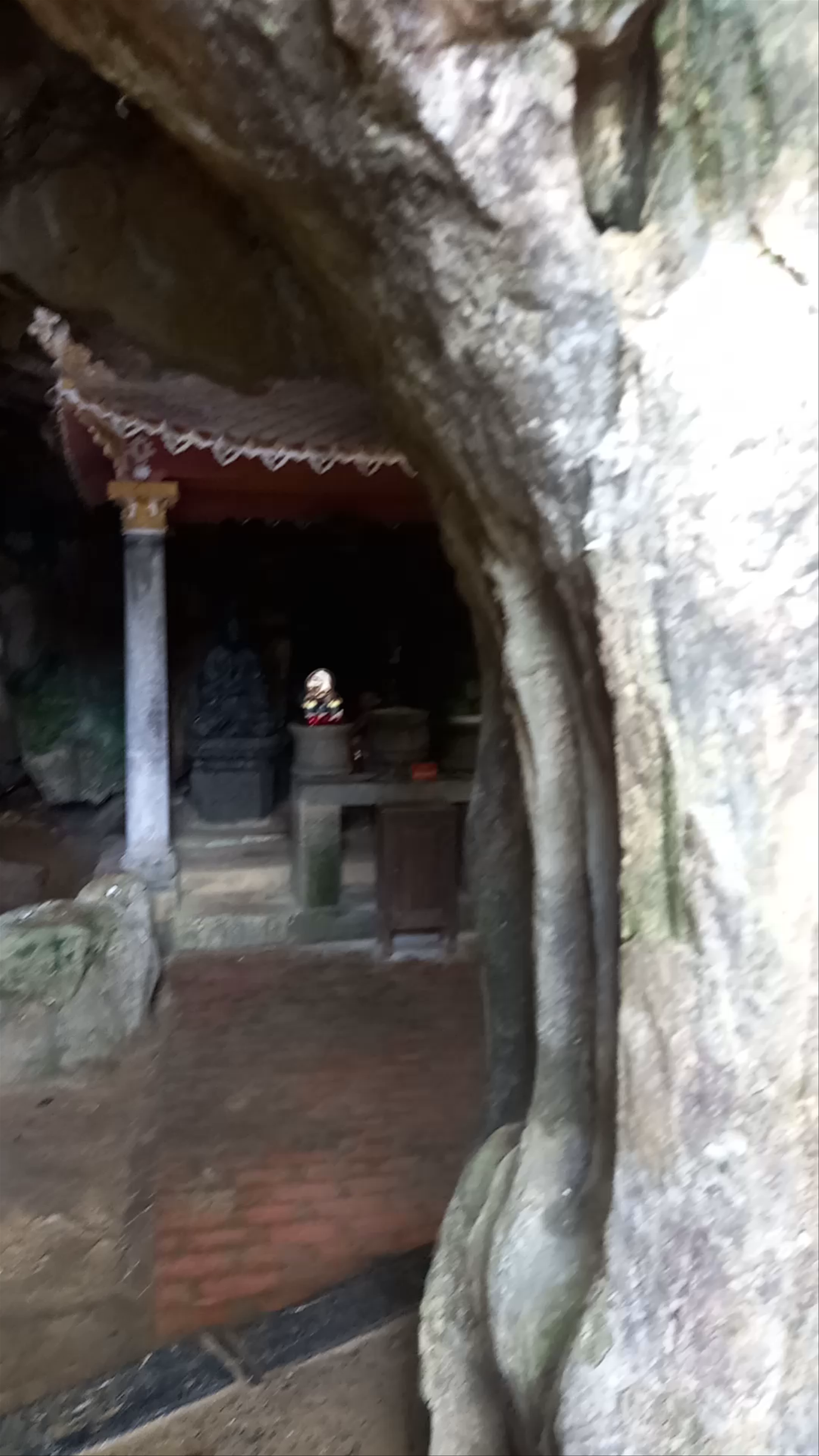 Đầm sen Bích Động