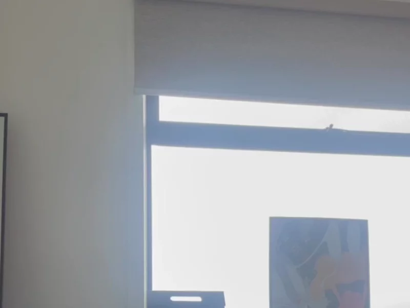 ErgoDesk Video 1
