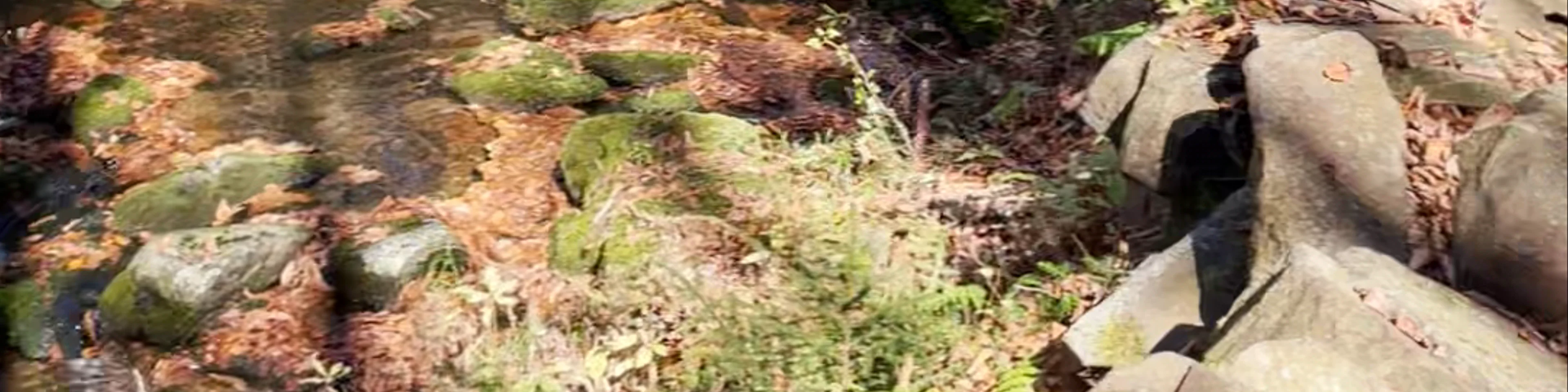 Parc national du Mont-Mégantic (provincial park)