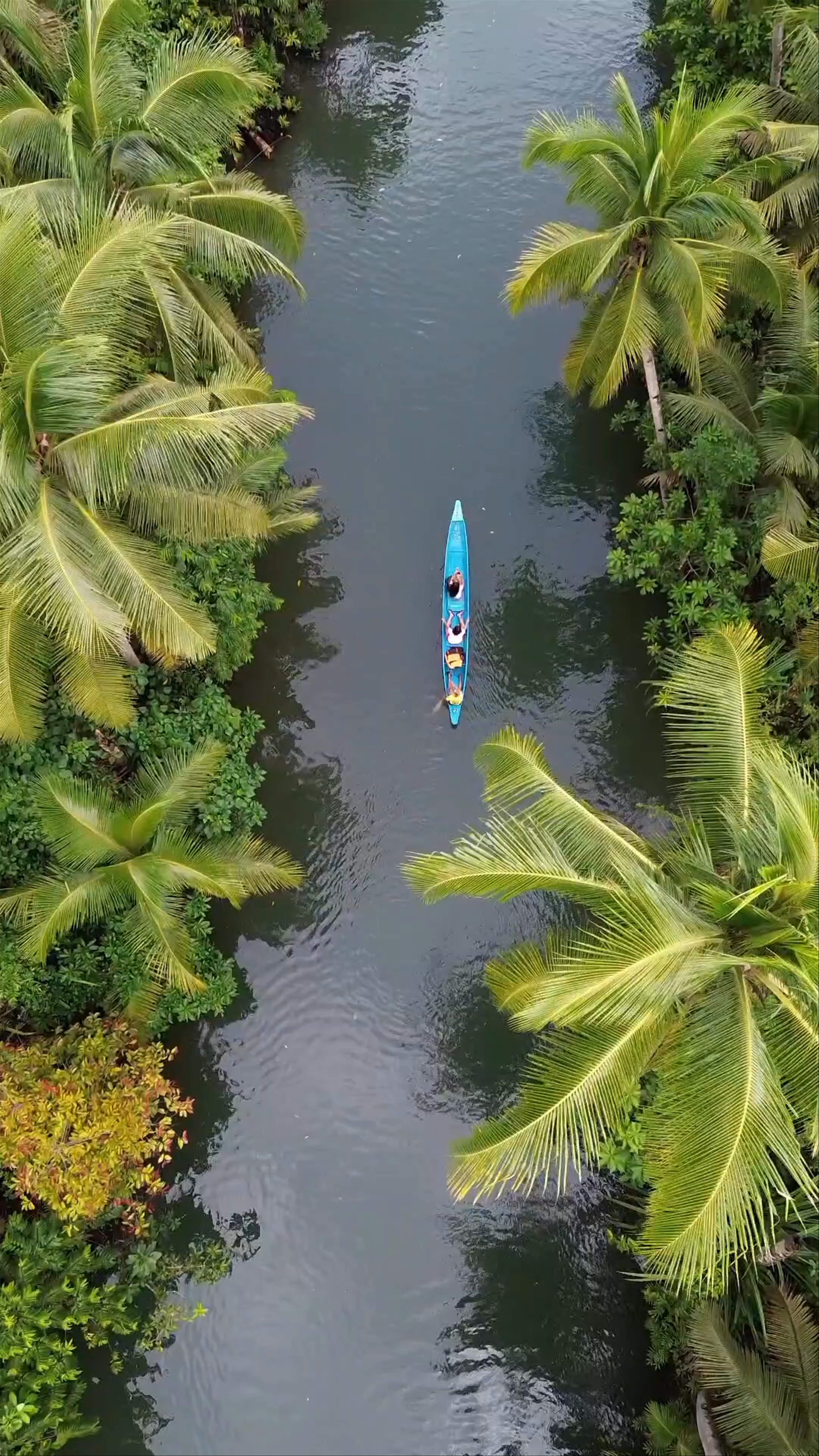Maasin River Bridge: A Serene Canoe Journey in Siargao, Philippines