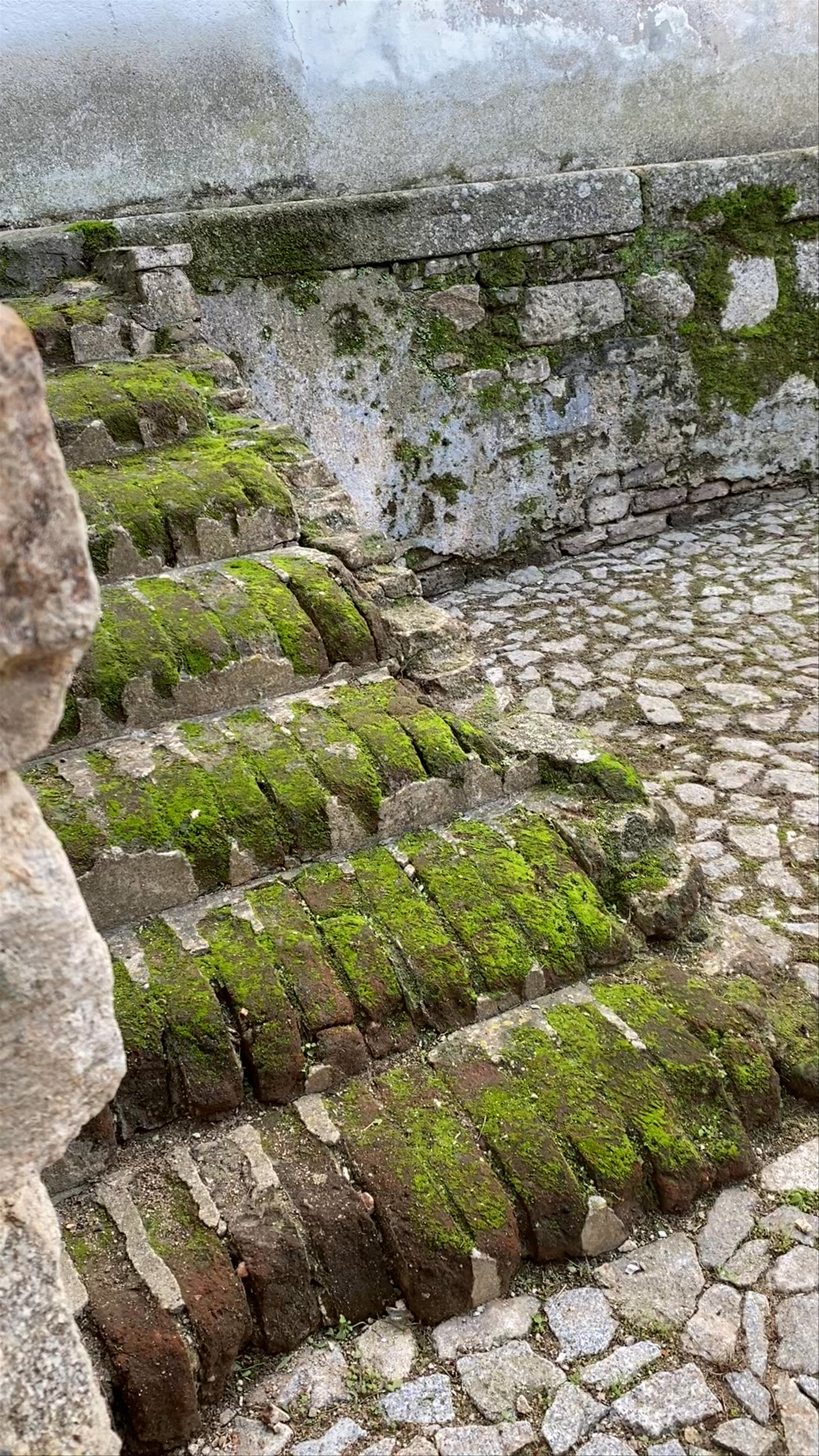 Moss-Covered Ruins and Cobblestone Charm in Évora, Portugal