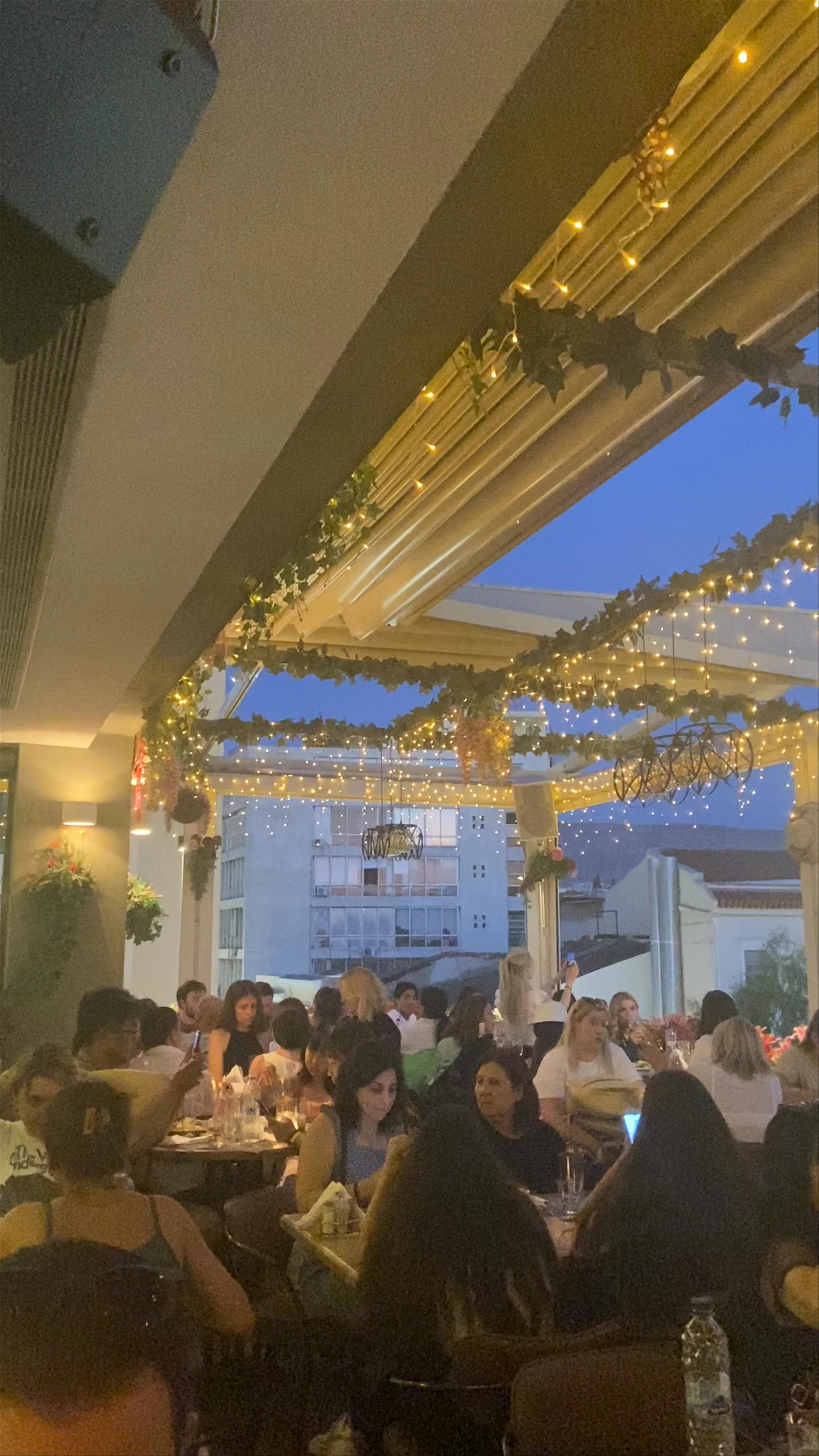 MS Roof Garden