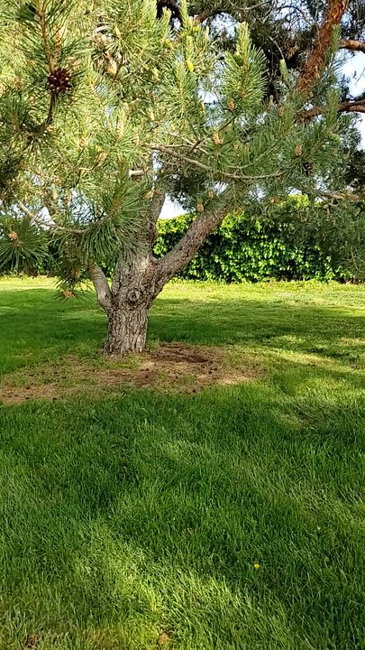 Burton Park - Beautiful day  for......?? - Parks Near Me - Albuquerque, New Mexico