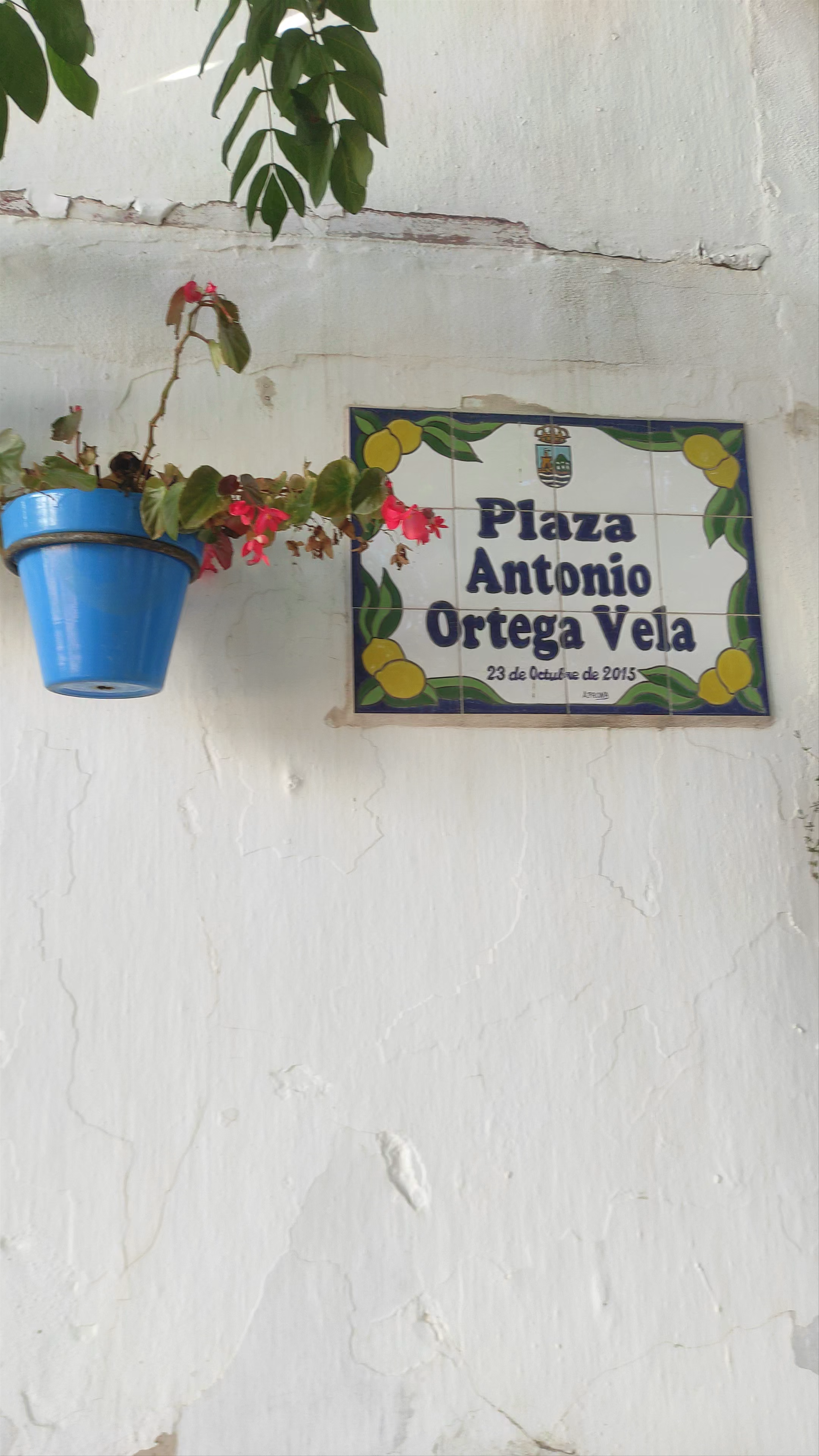 Plaza Antonio Ortega Vela