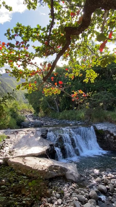 Iao Valley Inn - The Inn's private waterfalls. - Hotels Near Me - Wailuku, Hawaii