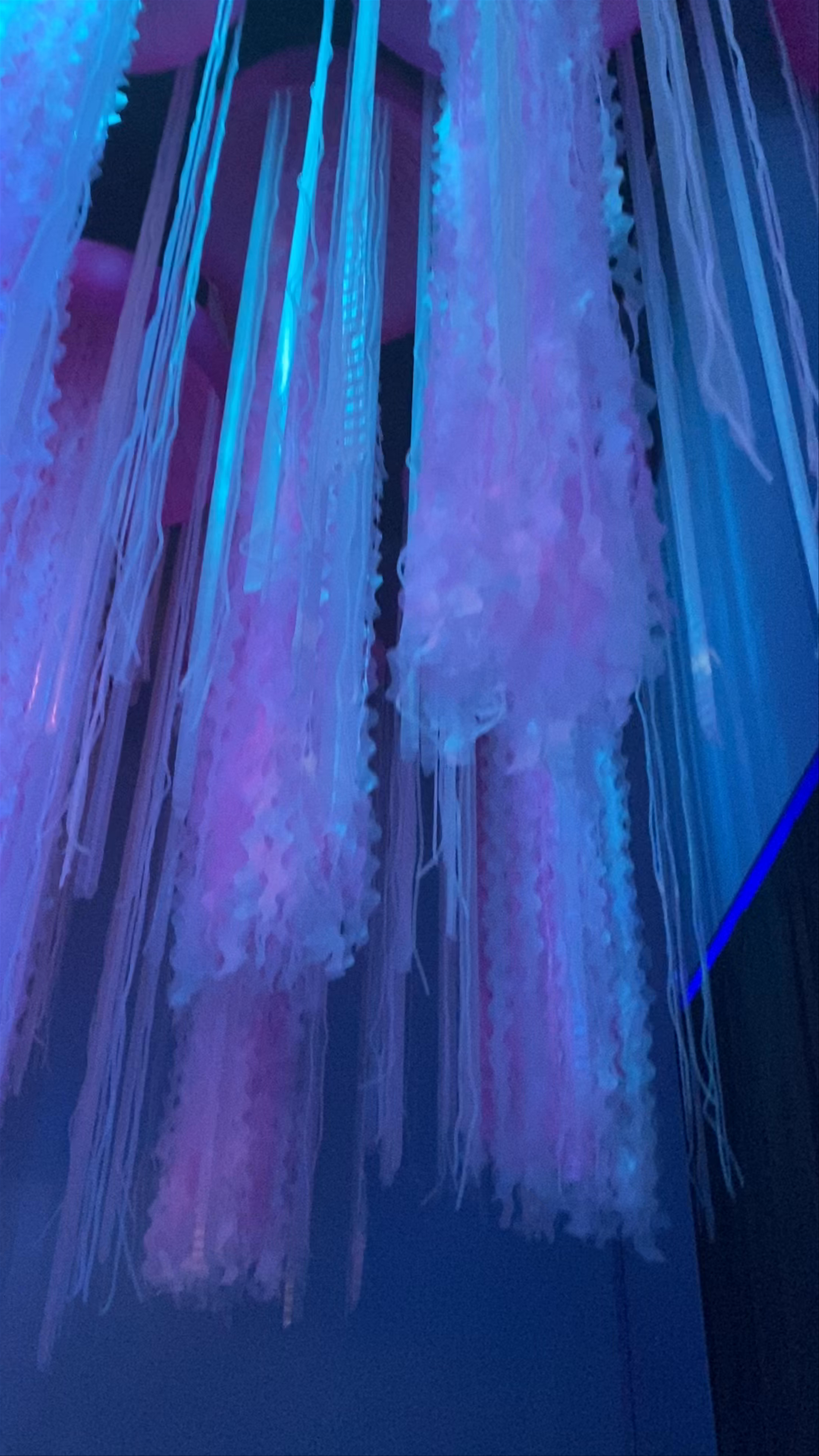 Immersive Underwater World Experience at IFEMA, Madrid