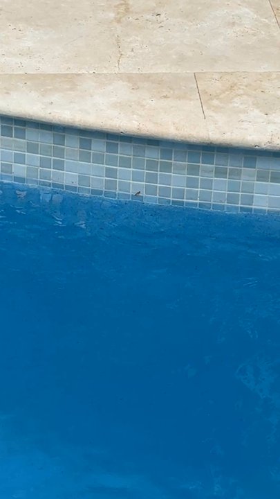 Superb Pools - Pool Cleaners Near Me - Coconut Creek, Florida
