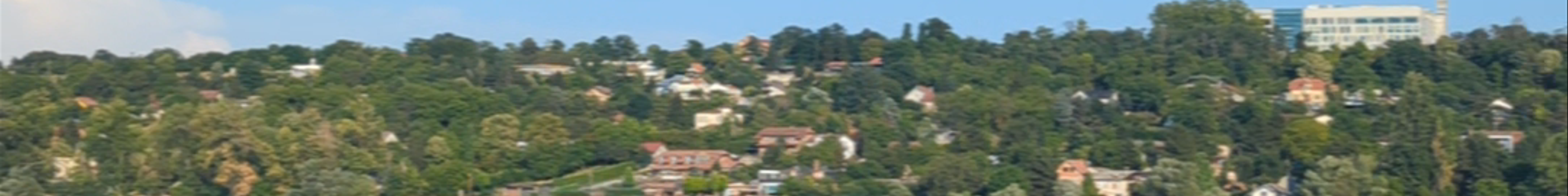 Tours & experiences in Novi Sad