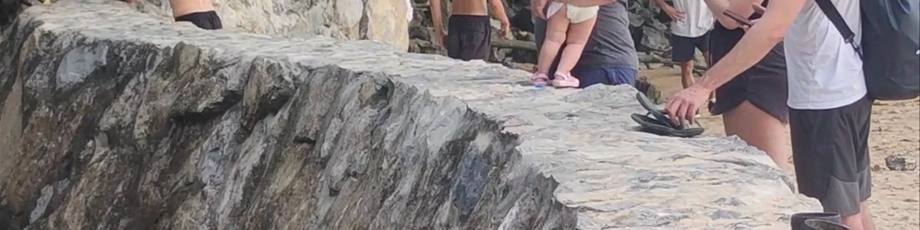 Monkey Trail