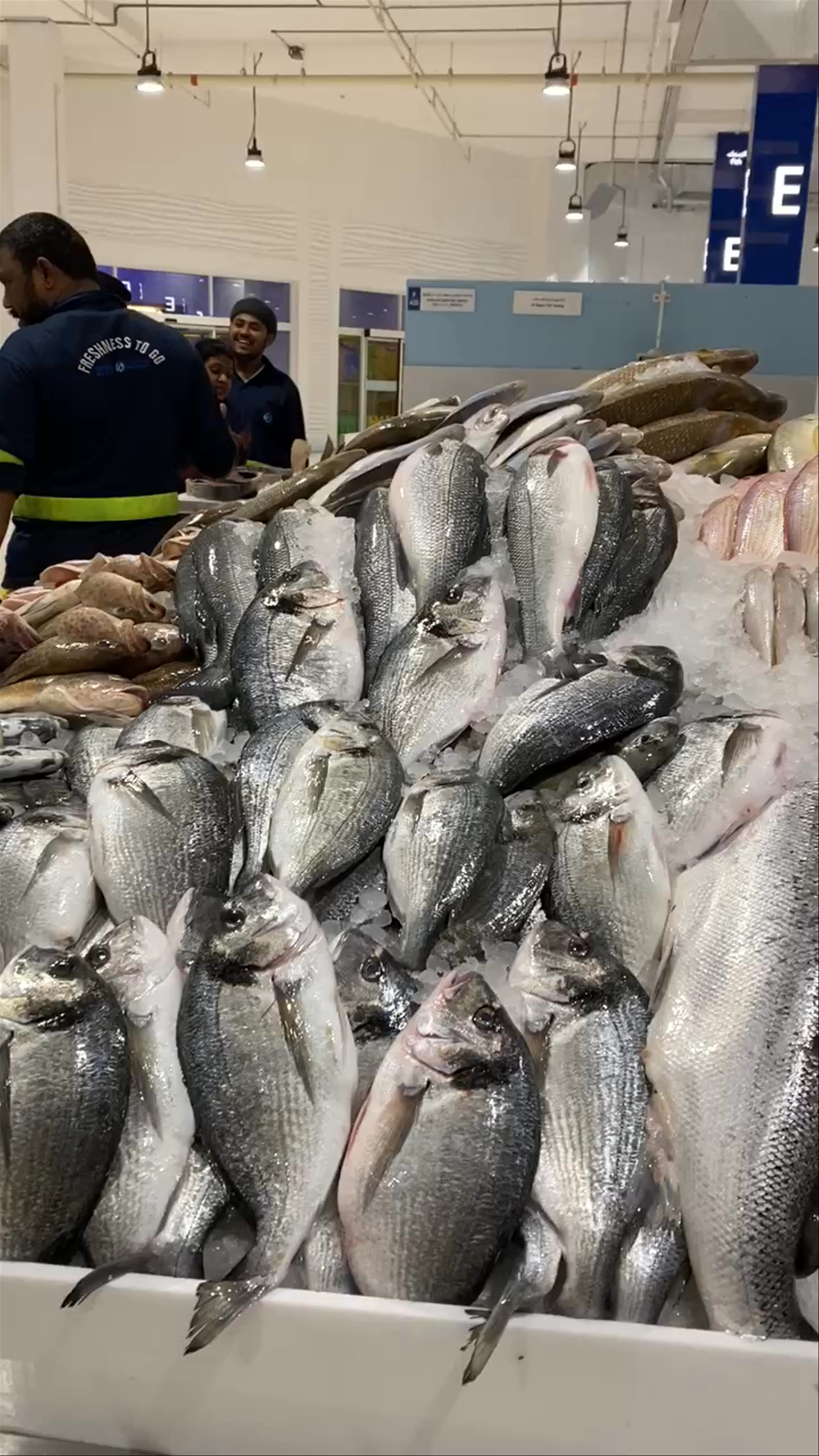 Fish Market Dubai: Fresh Catches and Local Flavors