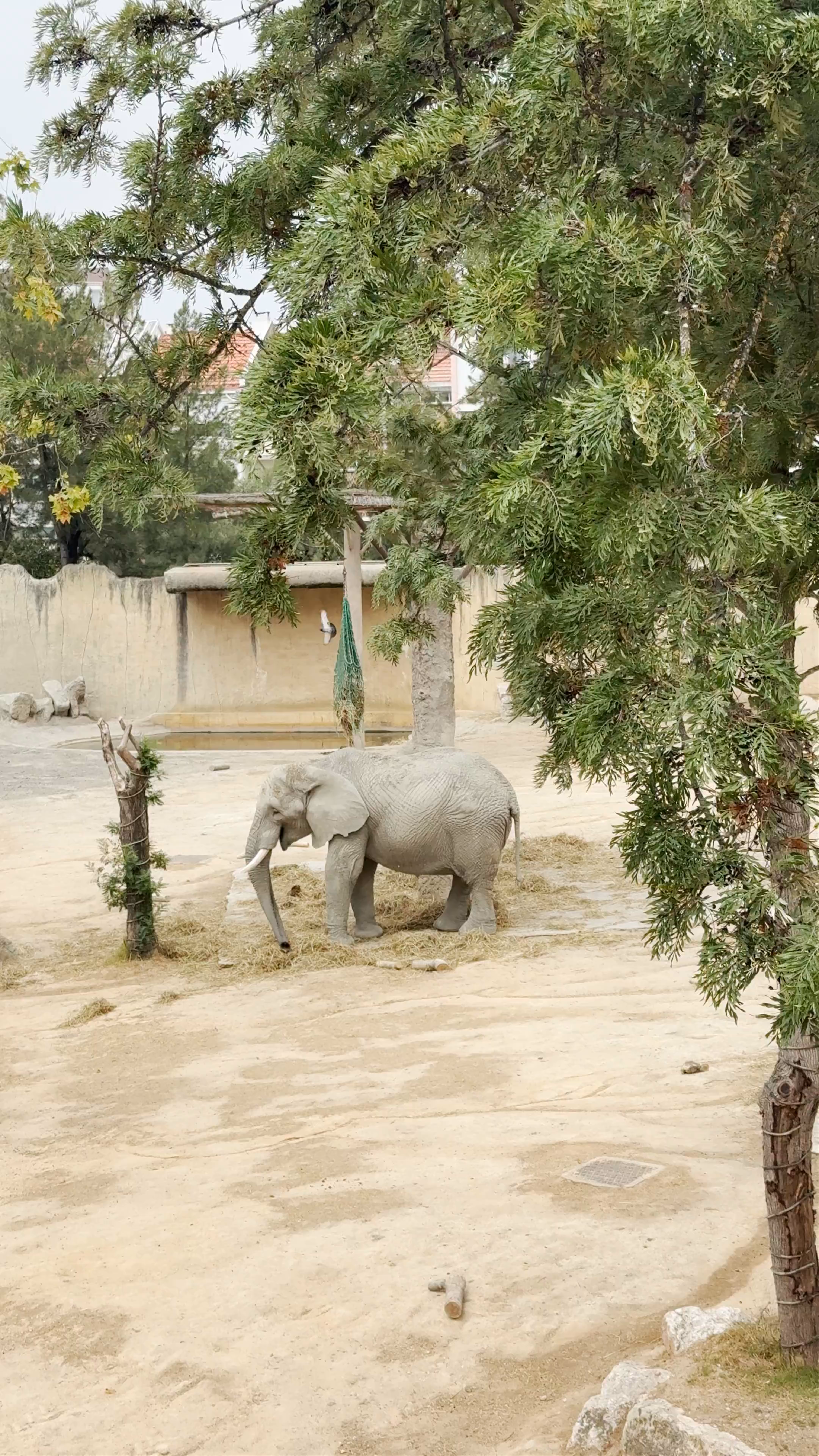 Zoológico de Lisboa