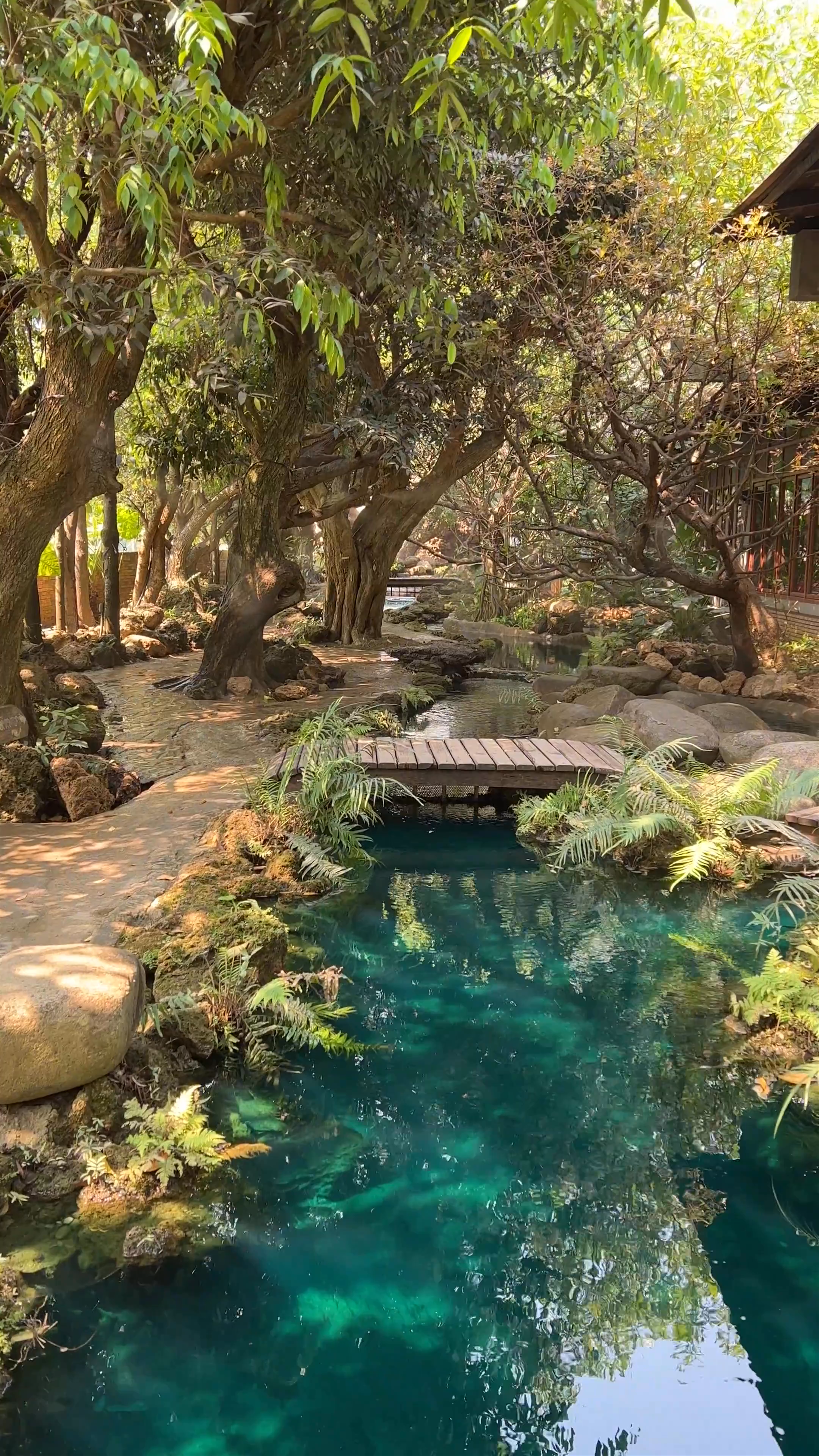 Dantewada Land of Angels Waterfall Park: A Tranquil Oasis in Chiang Mai