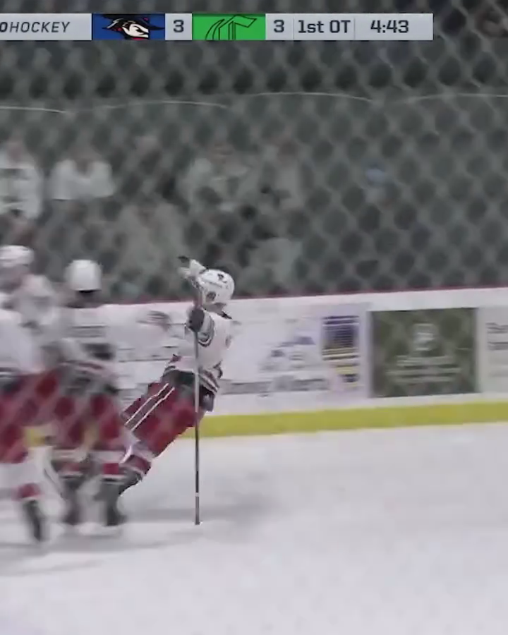 Harry Ahlberg's Spectacular Goals: Brooks Bandits Highlights