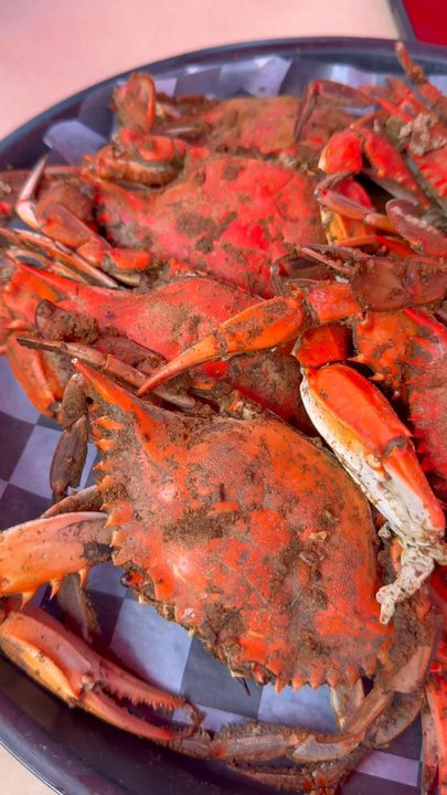 Phillips Seafood - Seafood Near Me - Baltimore, Maryland