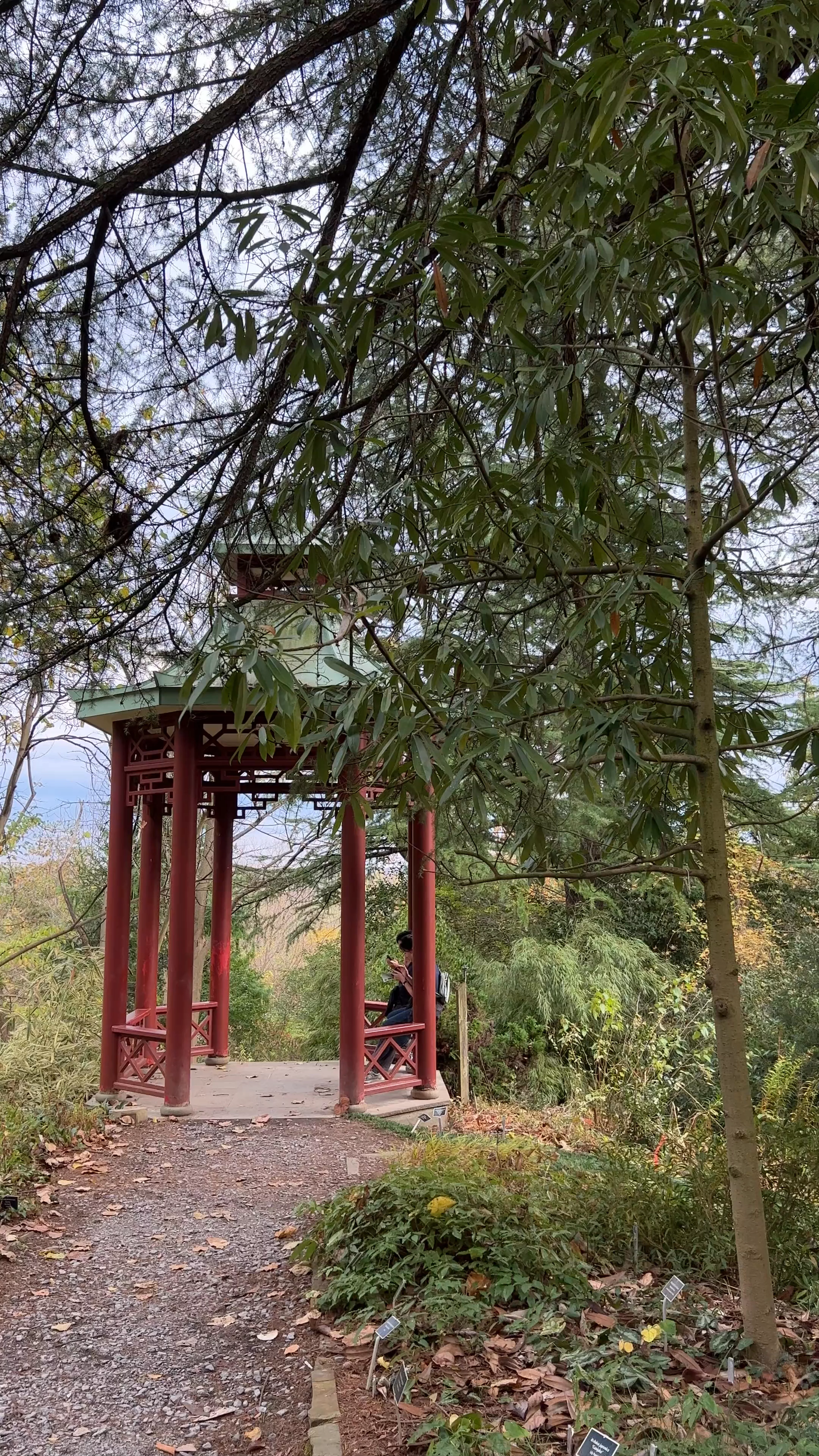 National Arboretum