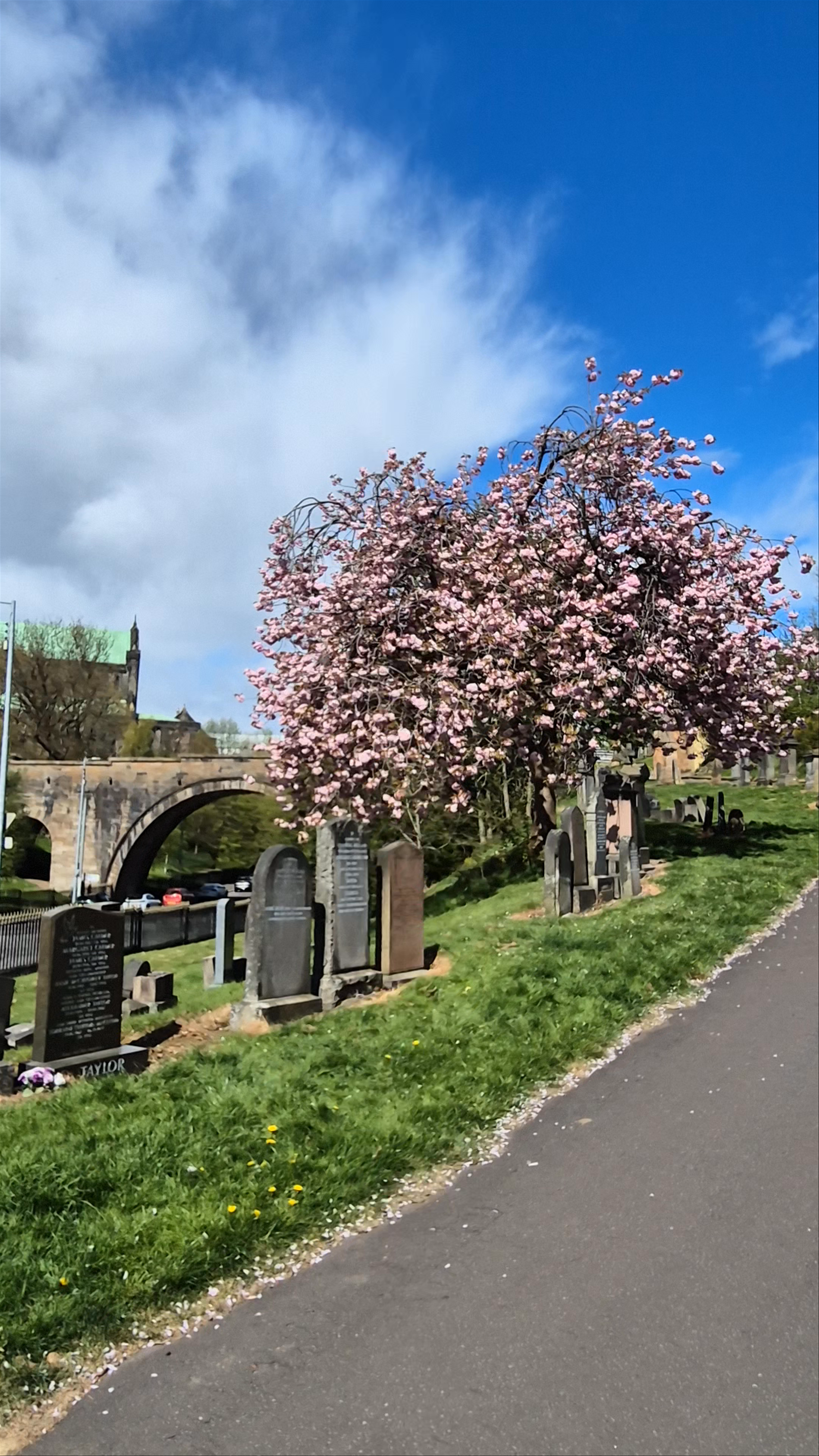 Glasgow Necropolis