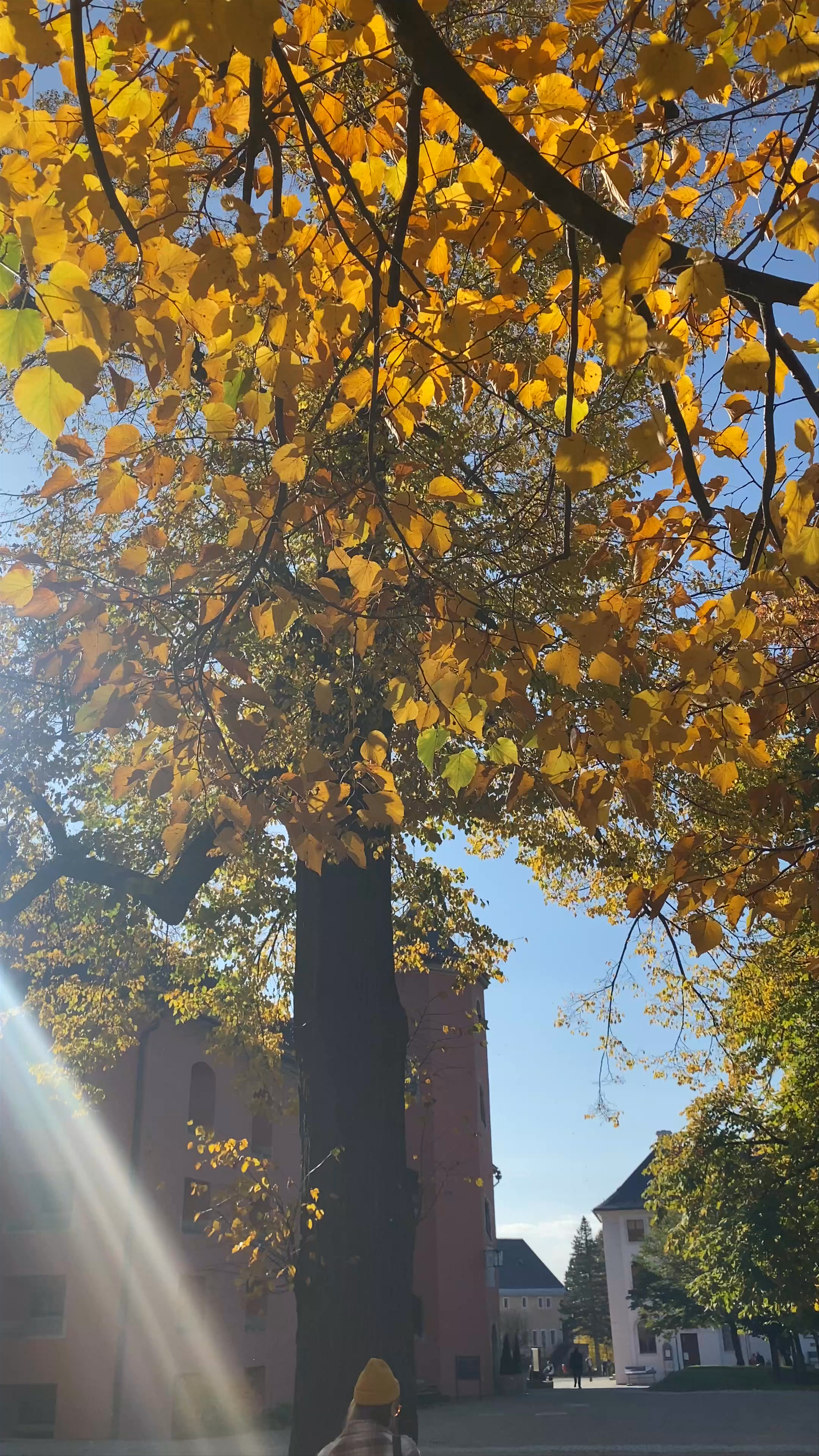 Museum der Festung Königstein