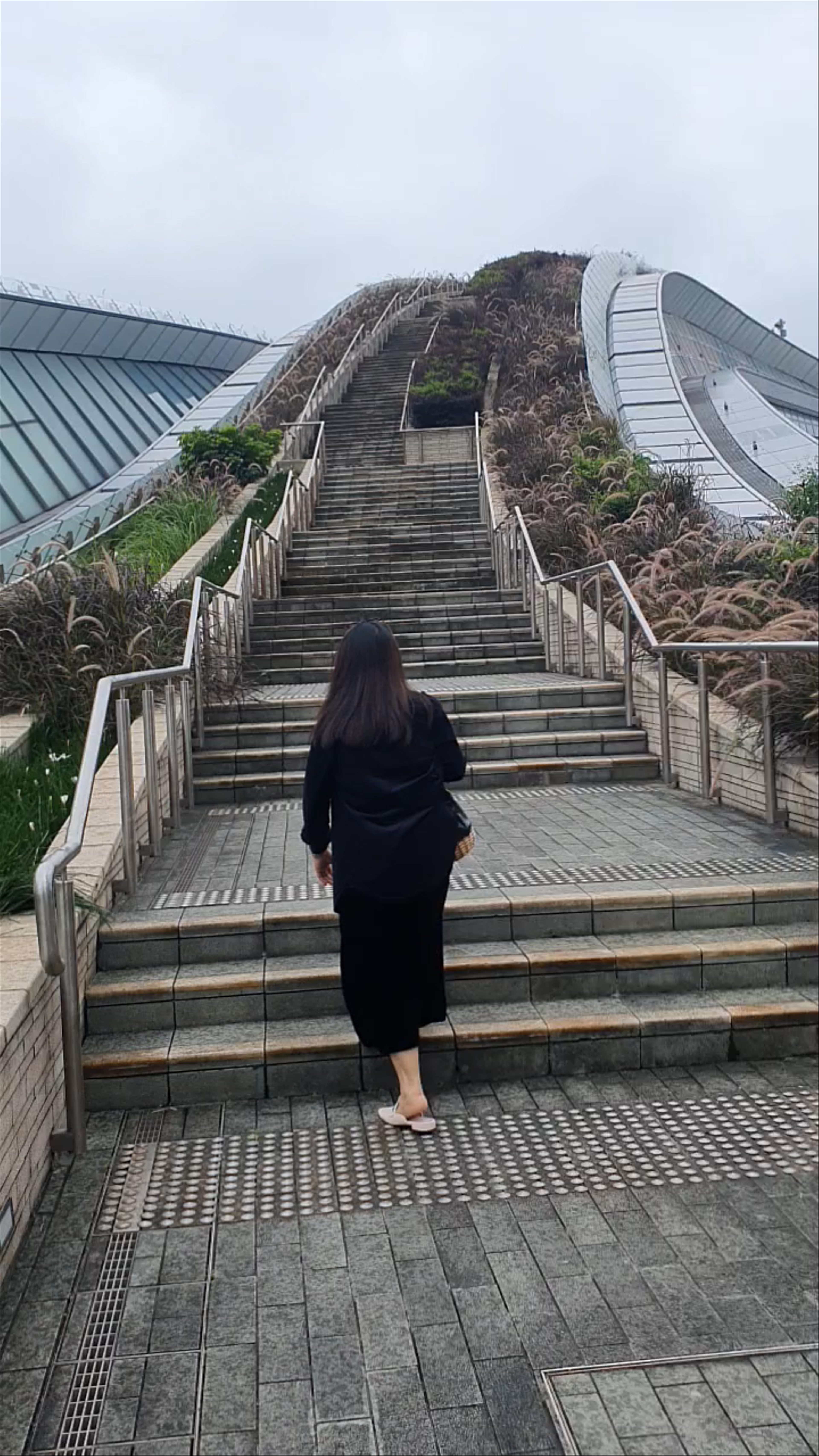 West Kowloon Station Bus Terminus Rooftop Garden