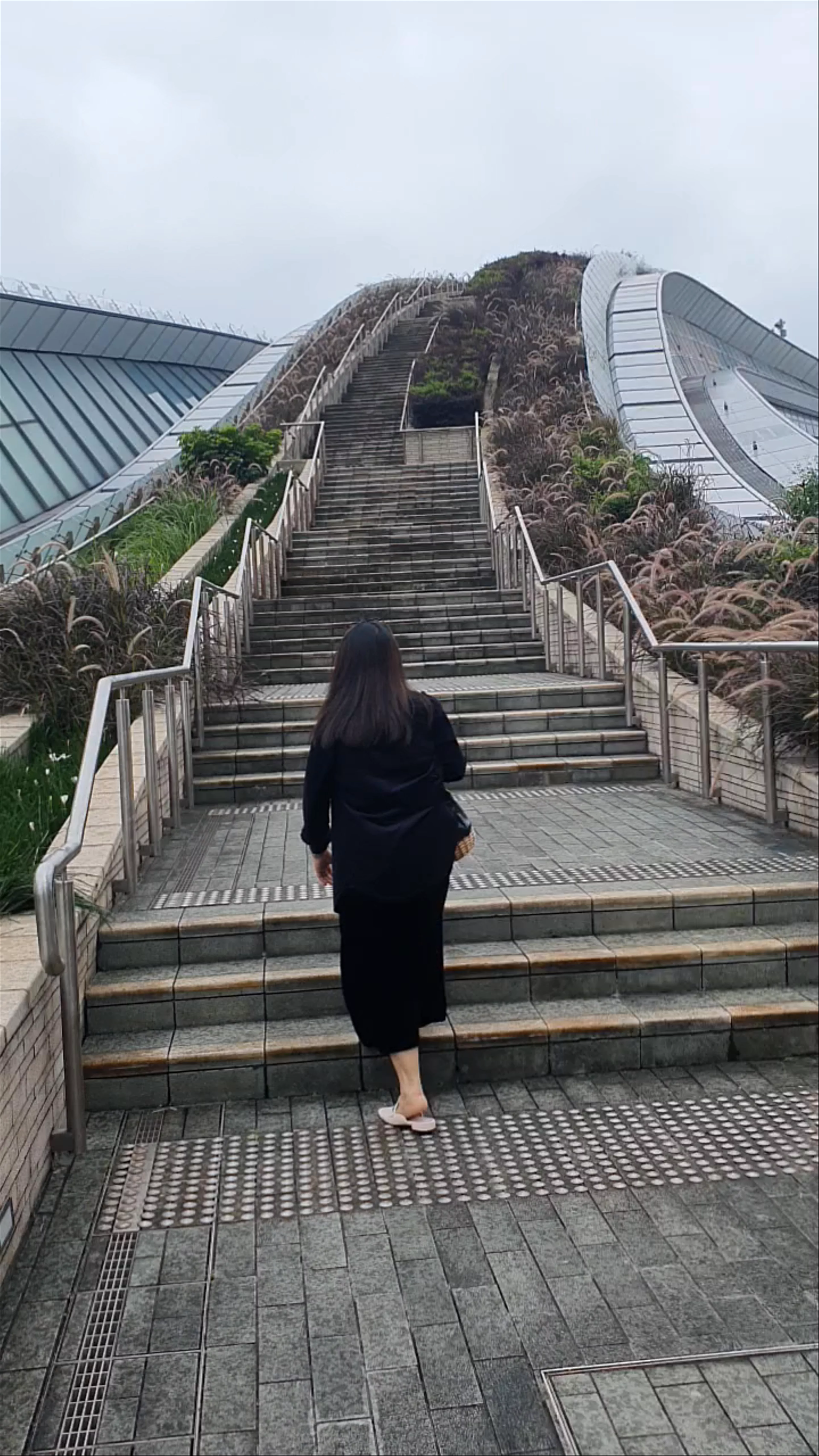 West Kowloon Station Bus Terminus Rooftop Garden