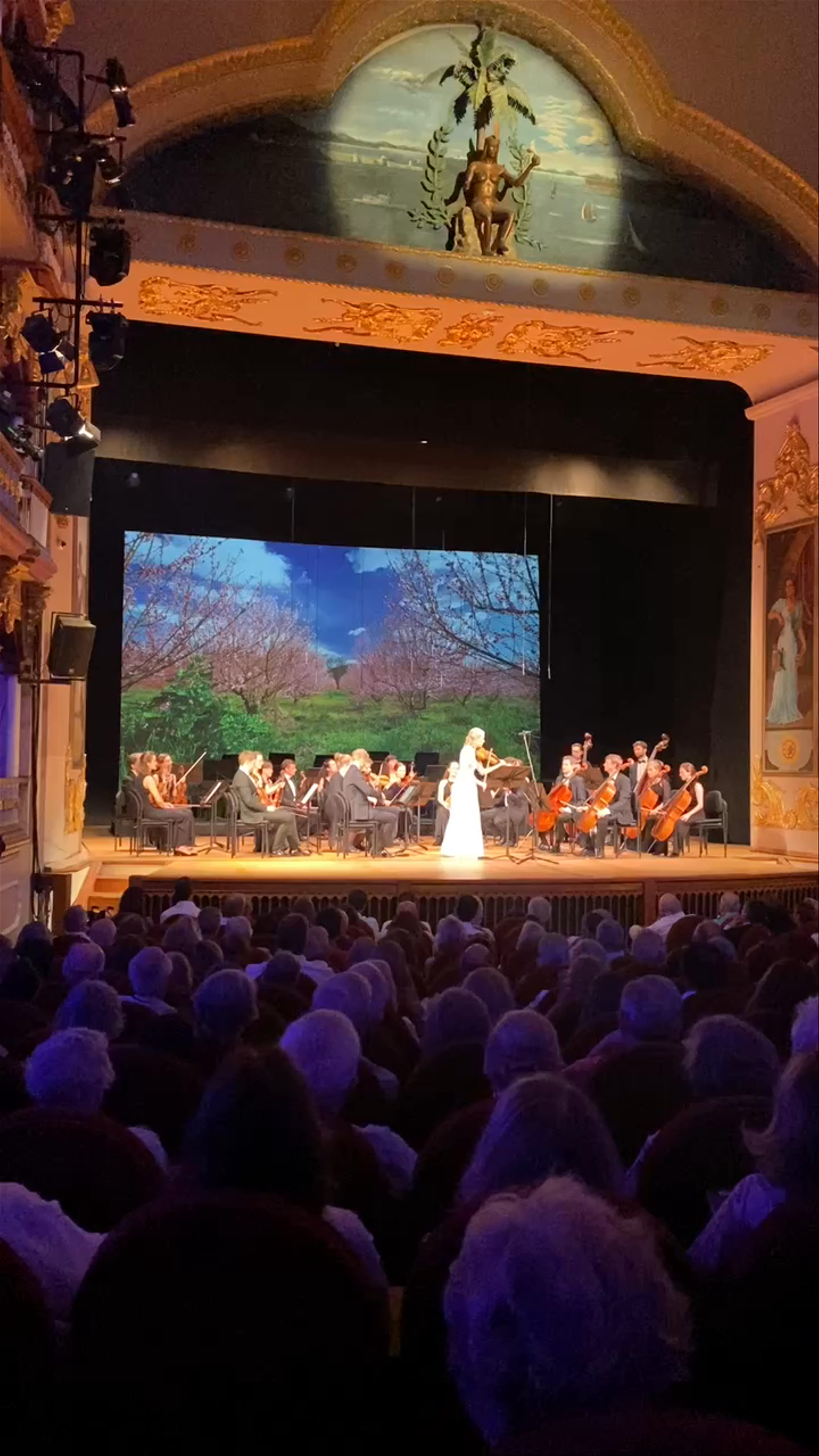 Orchestral Performance at Teatro Adolfo Mejía in Cartagena