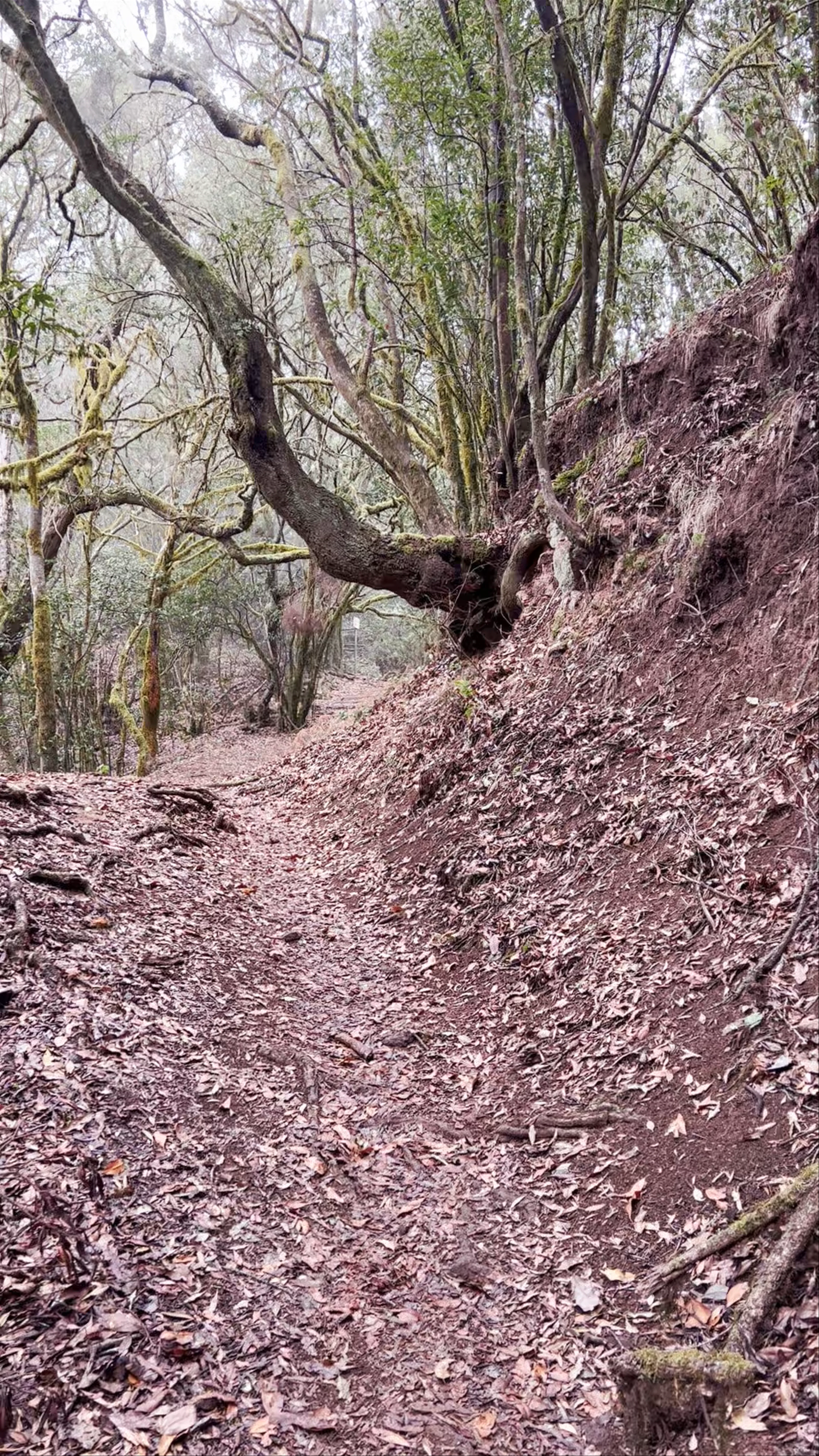 Barranco del Cedro, Spain