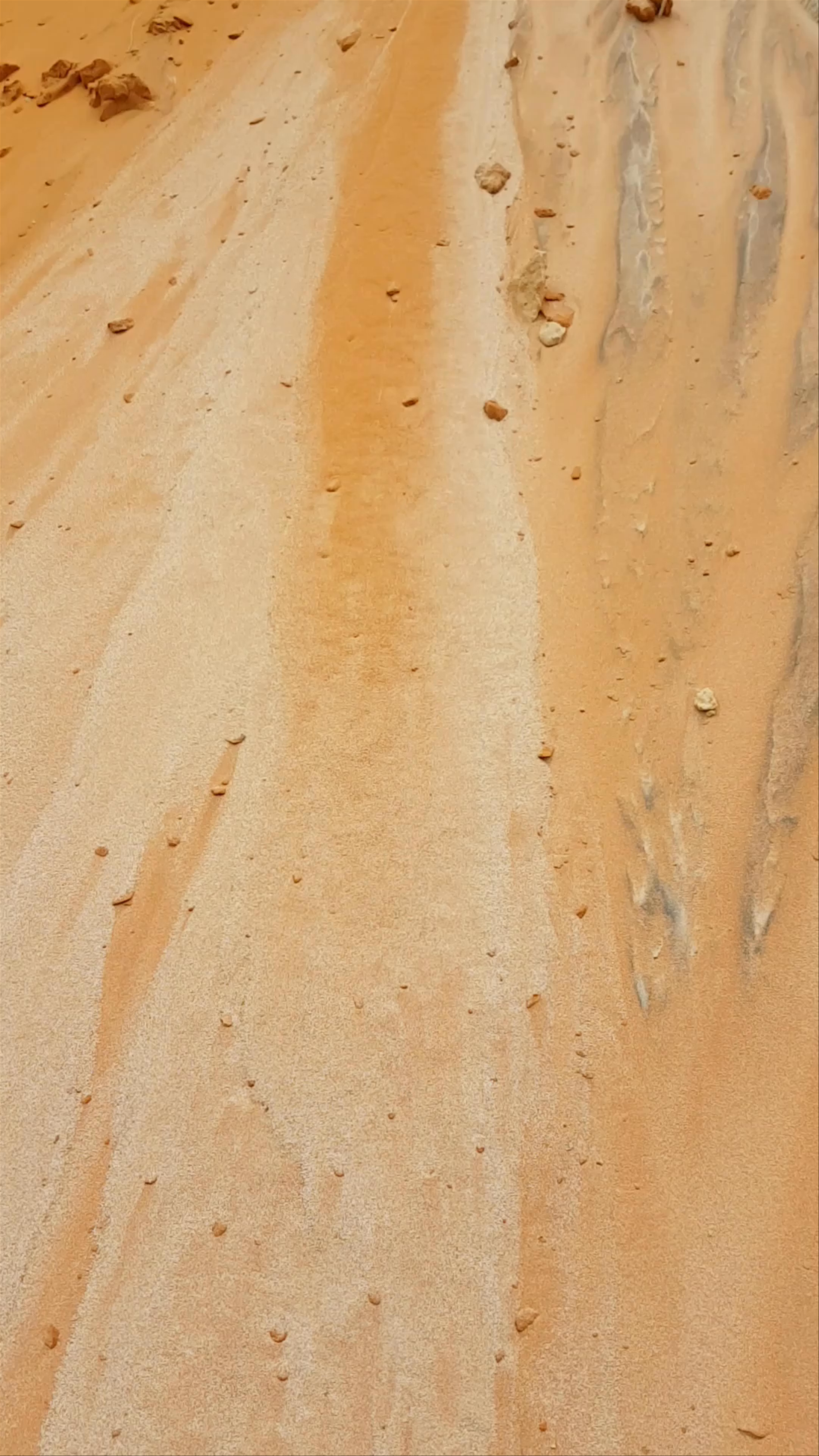 Mui Ne Sand Dunes Jeep Tour Adventure
