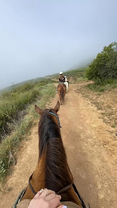 Circle Bar B Ranch - 90 min trail ride - Bed & Breakfast Near Me - Goleta, California
