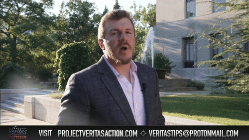 Video Thumbnail Loop