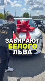 Забирают белого льва