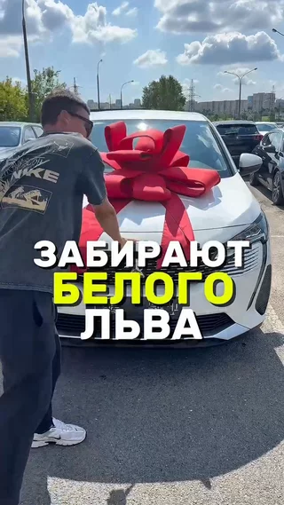 Забирают белого льва