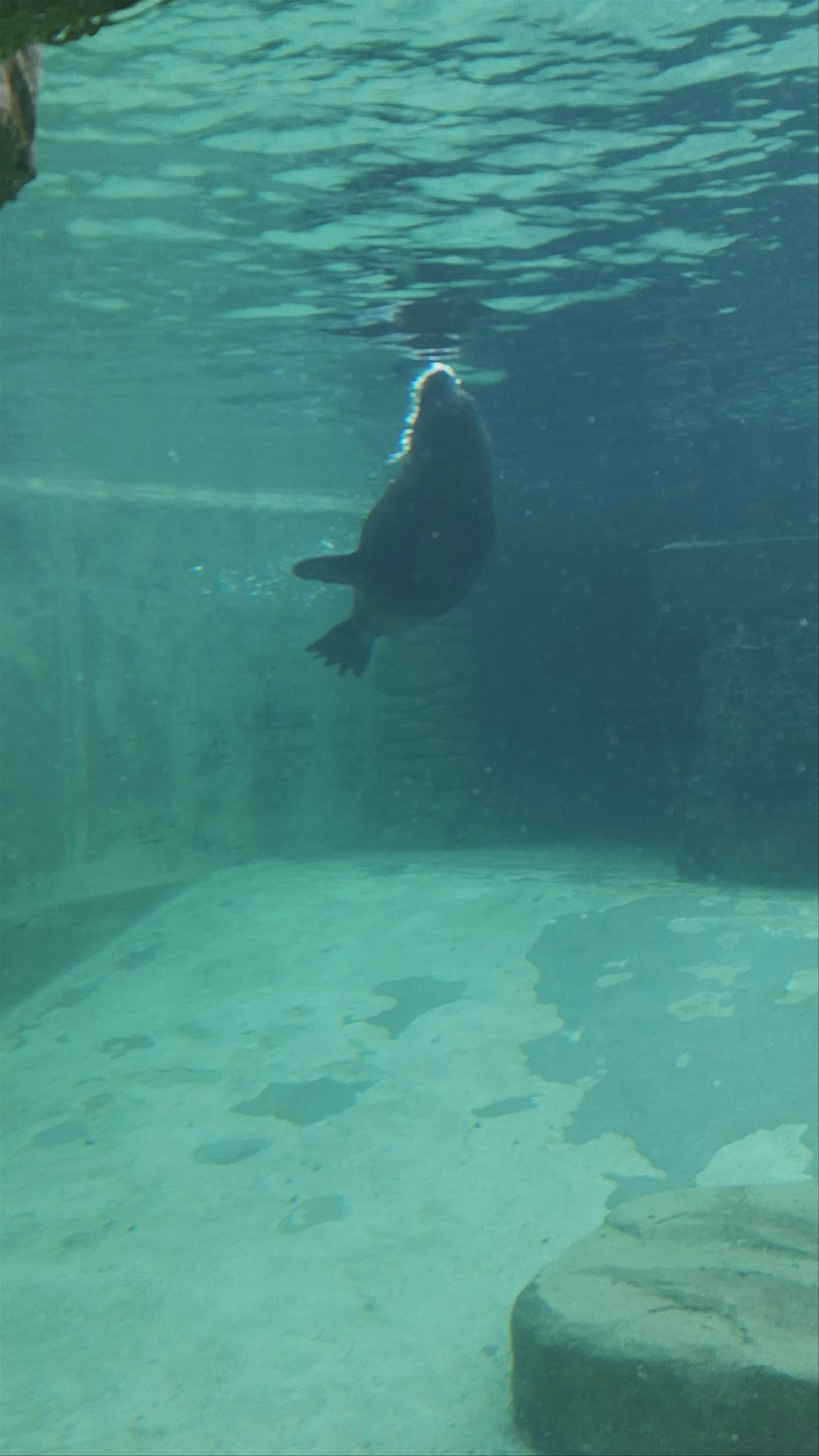 Prague Zoo