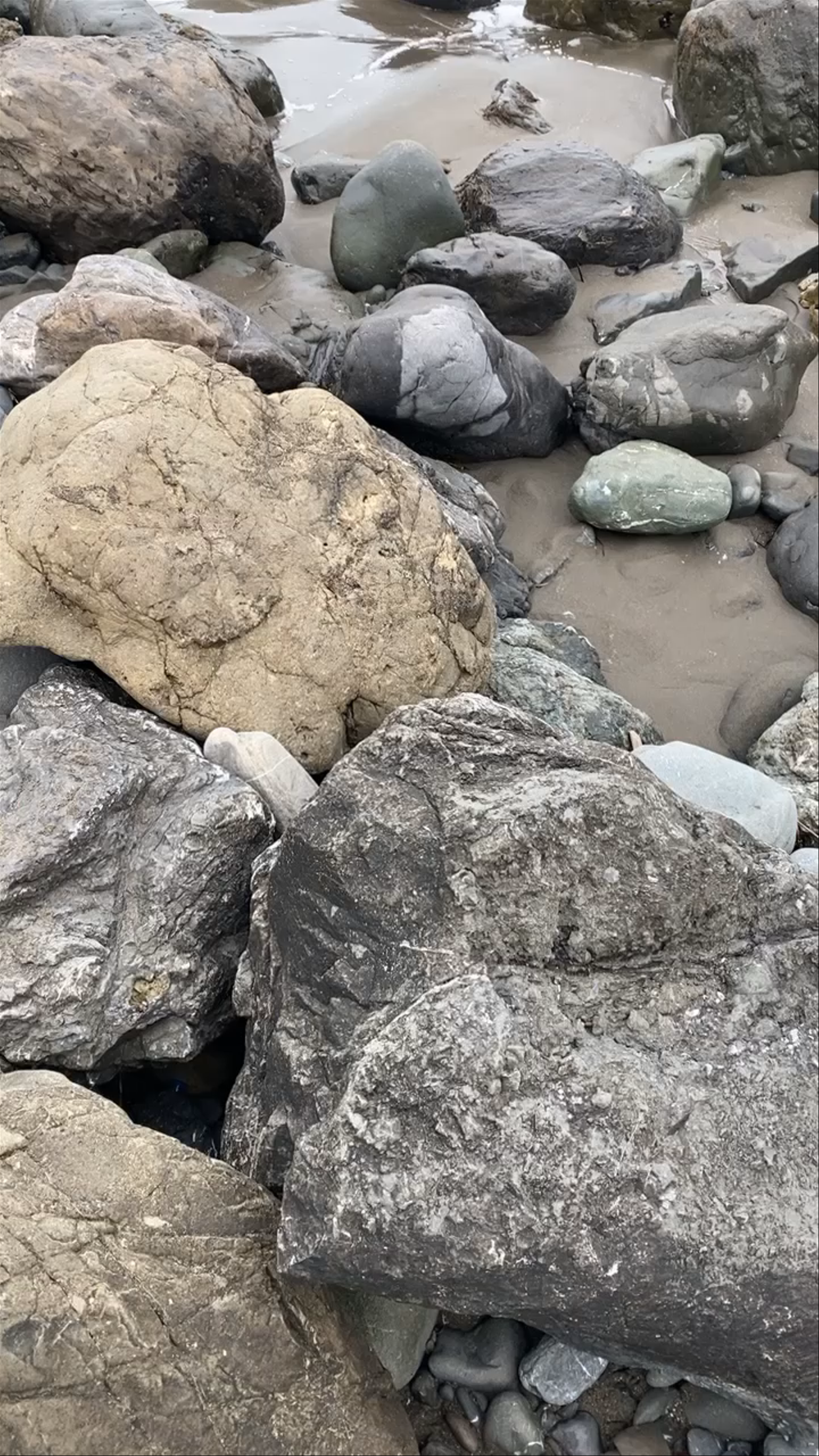 Muir Beach Coastal Serenity: Rocky Shores and Rolling Waves