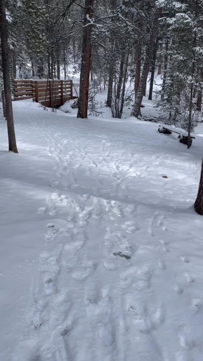 Staunton State Park - Hiking Near Me - Pine, Colorado