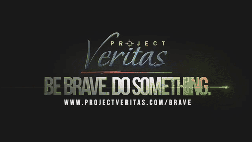 Video Thumbnail Loop