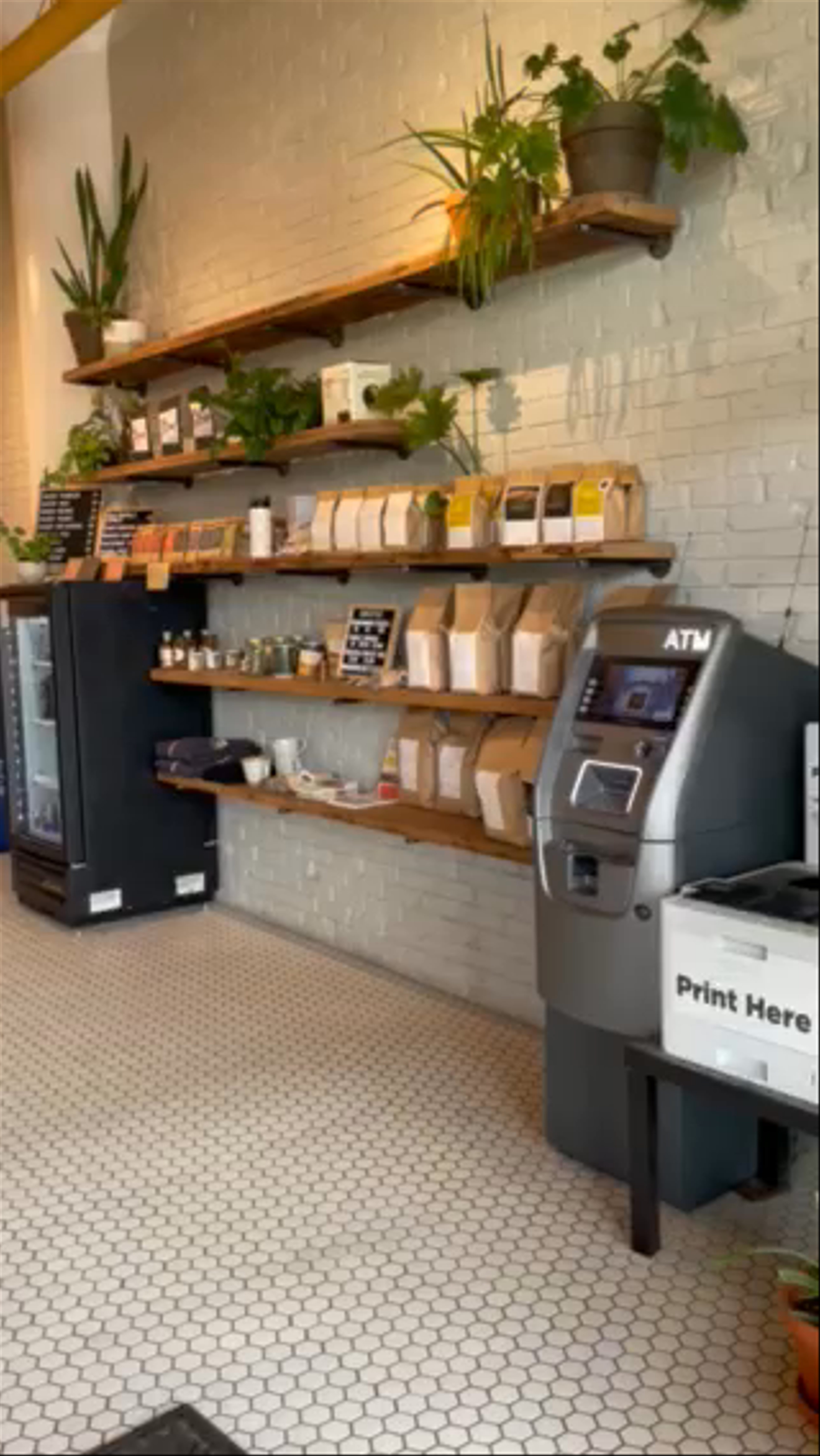 Hardy Coffee Co.