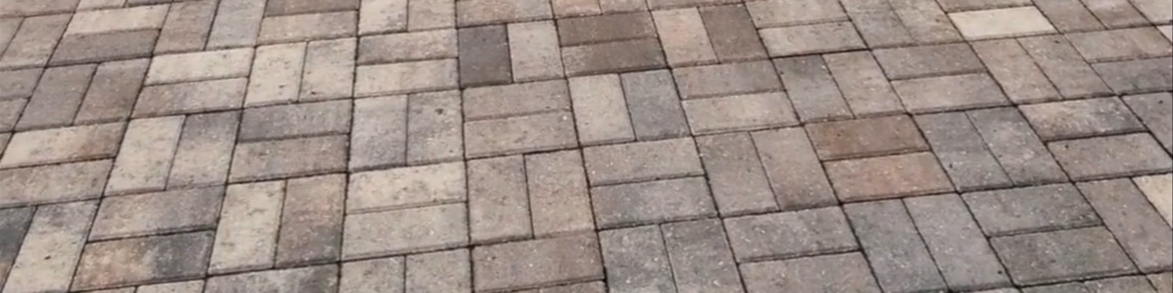 Orlando