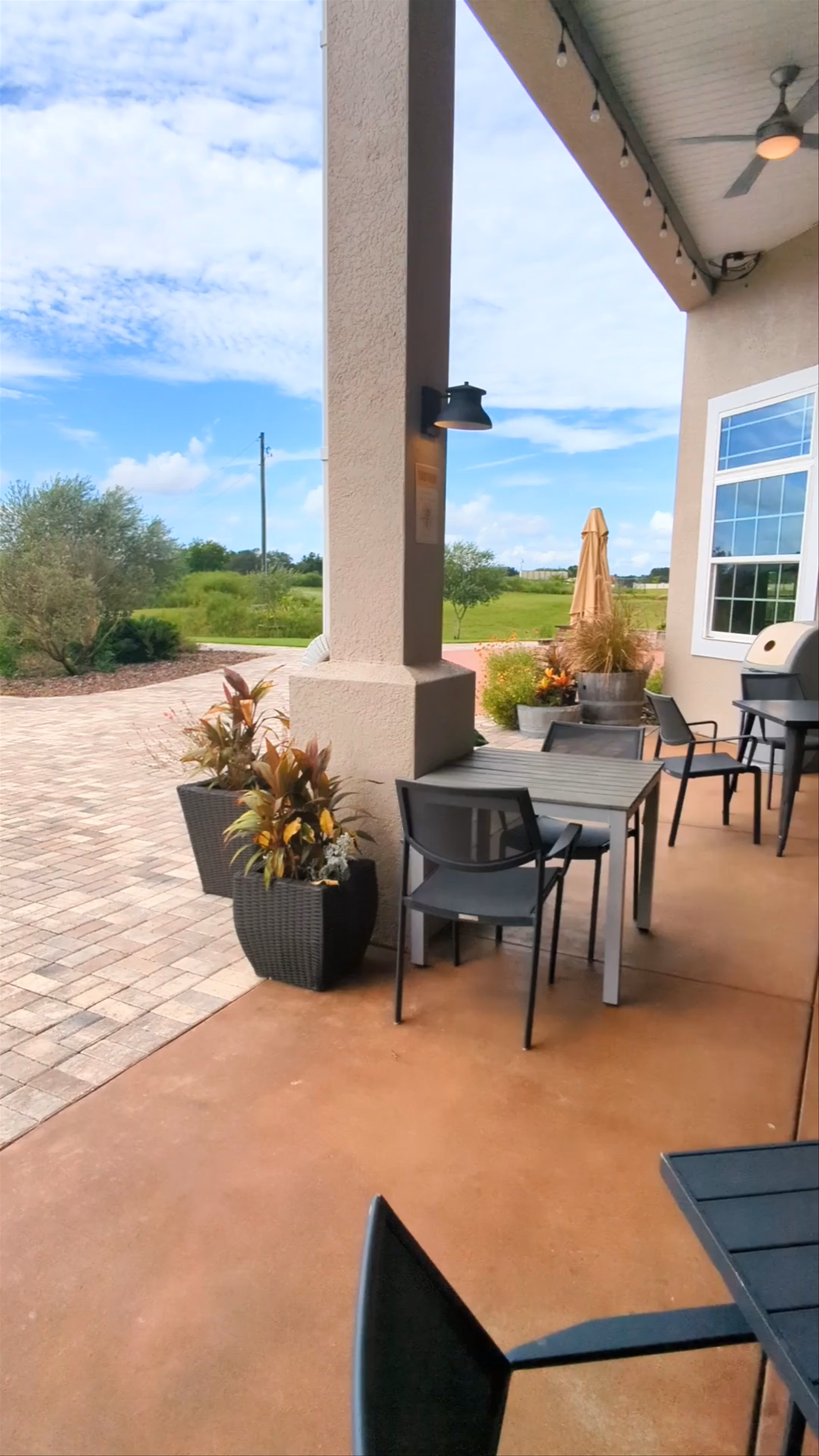 Island Grove Wine Company: Serene Vineyard Retreat in Kissimmee, Florida