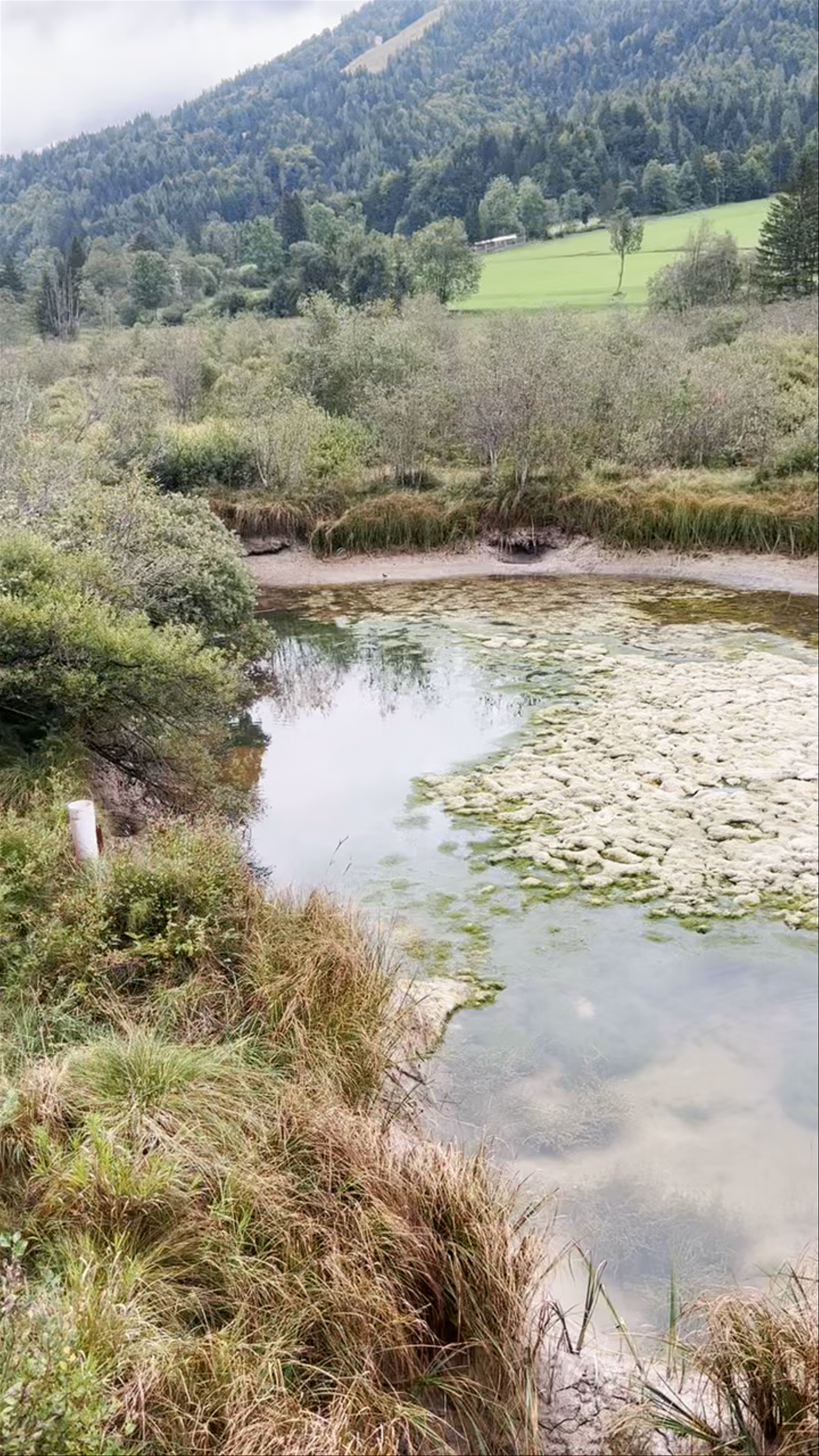 Naravni rezervat Zelenci