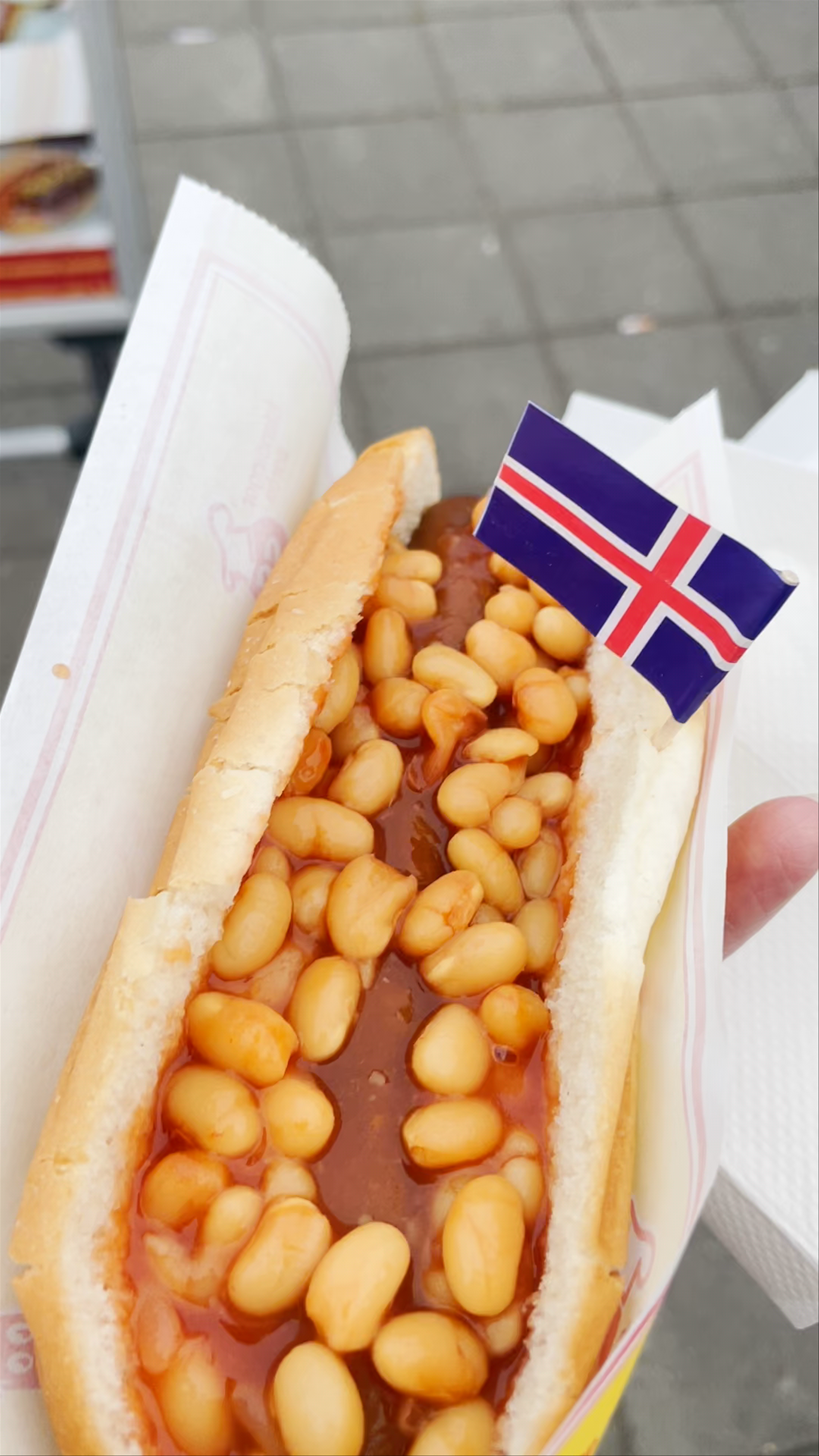 Icelandic Hot Dog
