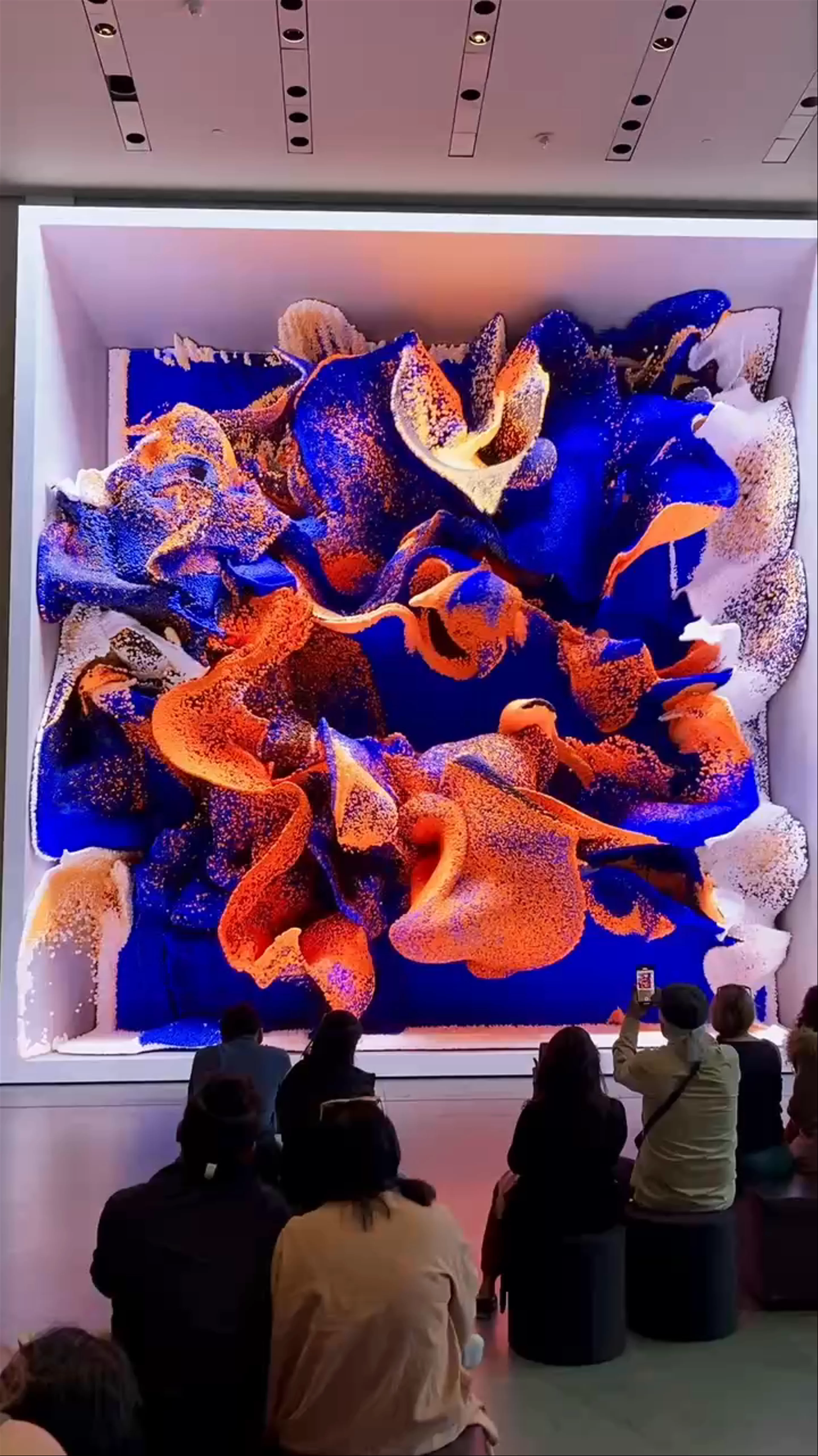 Museum of Modern Art (MoMA)