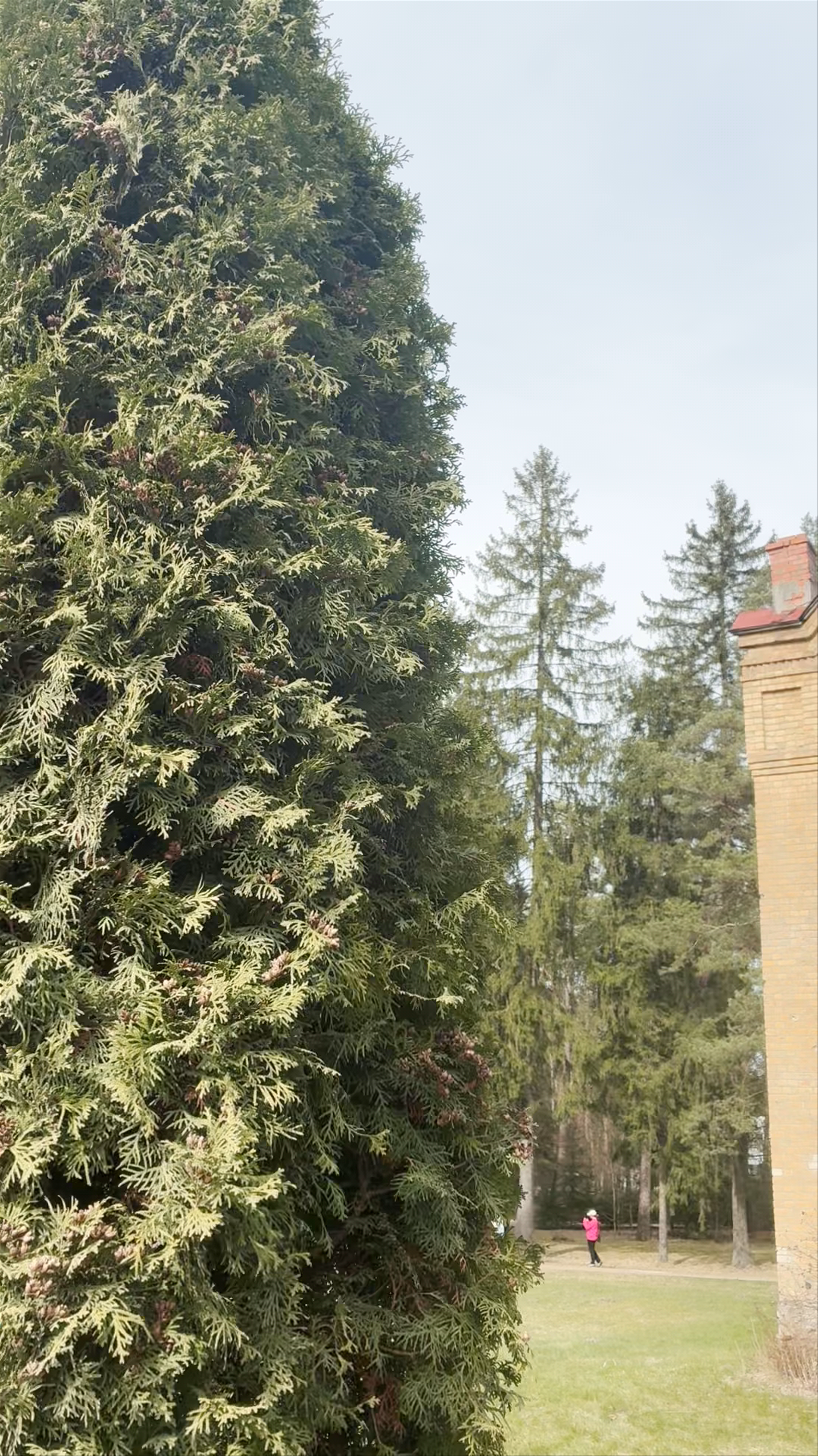 Ogres Evangeliski luteriska draudze