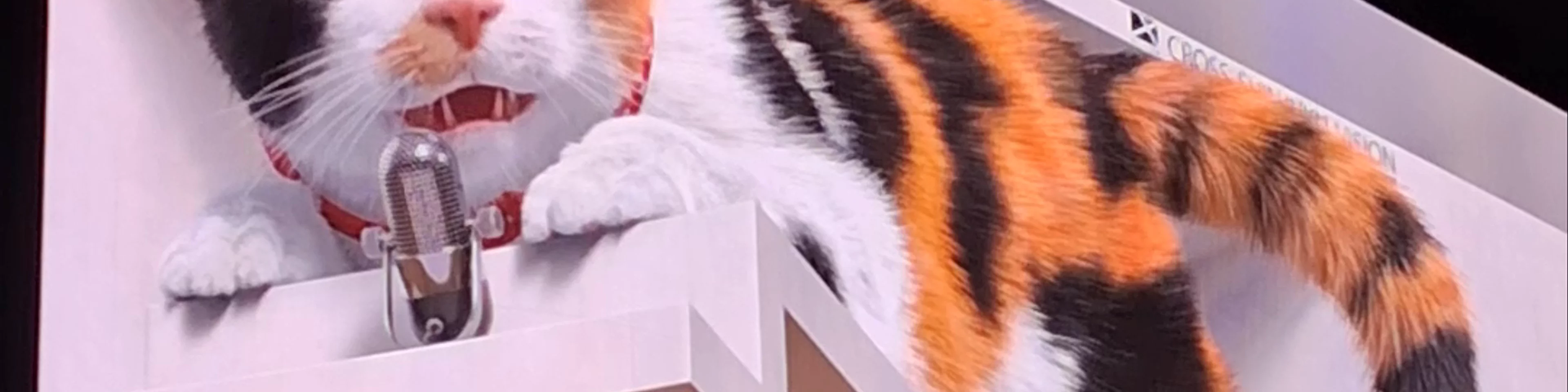 3d cat video