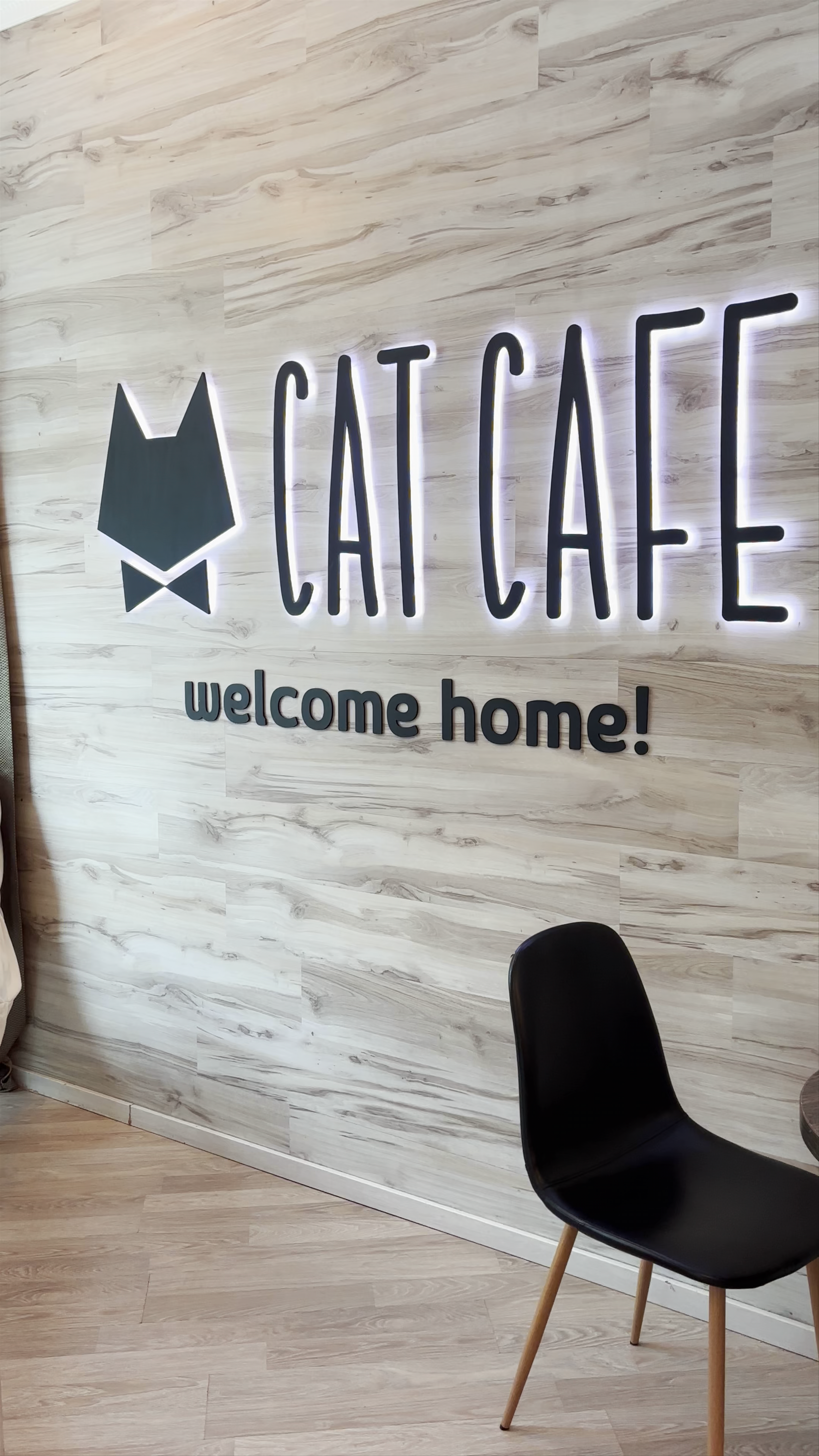 Cat Cafe: Cozy Feline Retreat in Vilnius