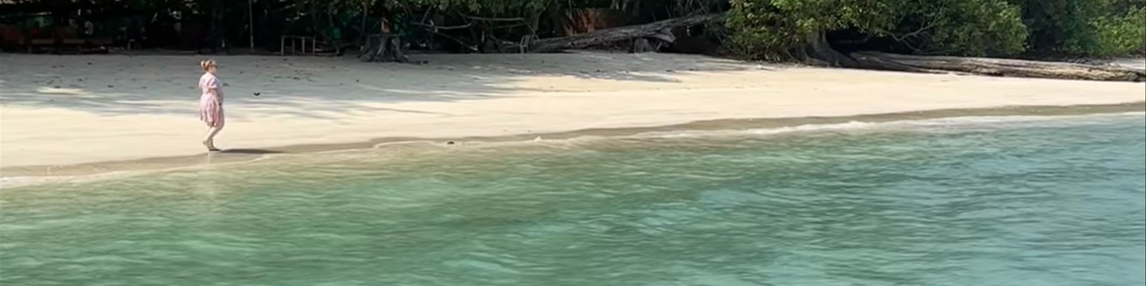 Havelock Island