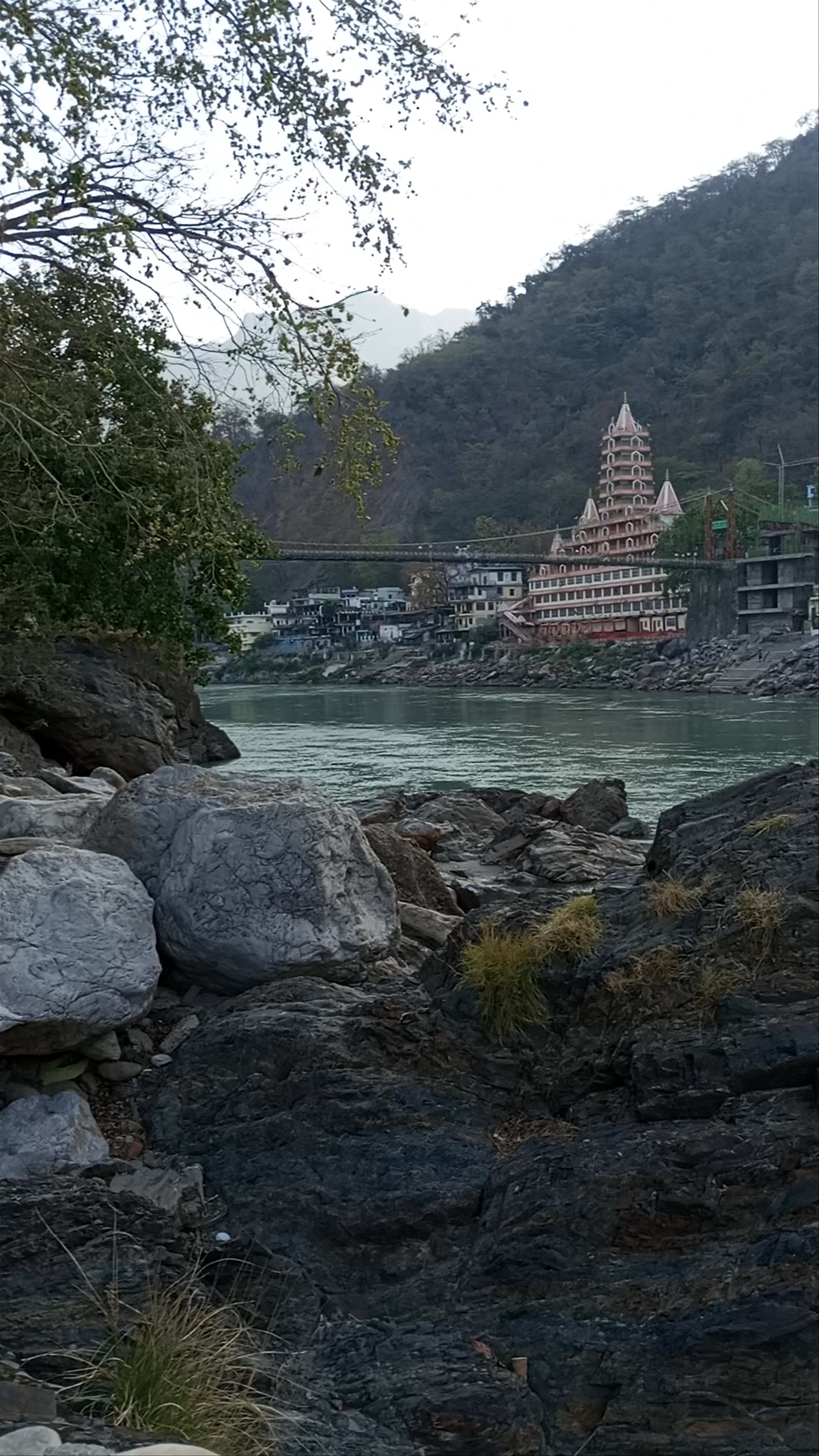 Serene Gau Ghat by Laxman Jhula in Rishikesh, Uttarakhand