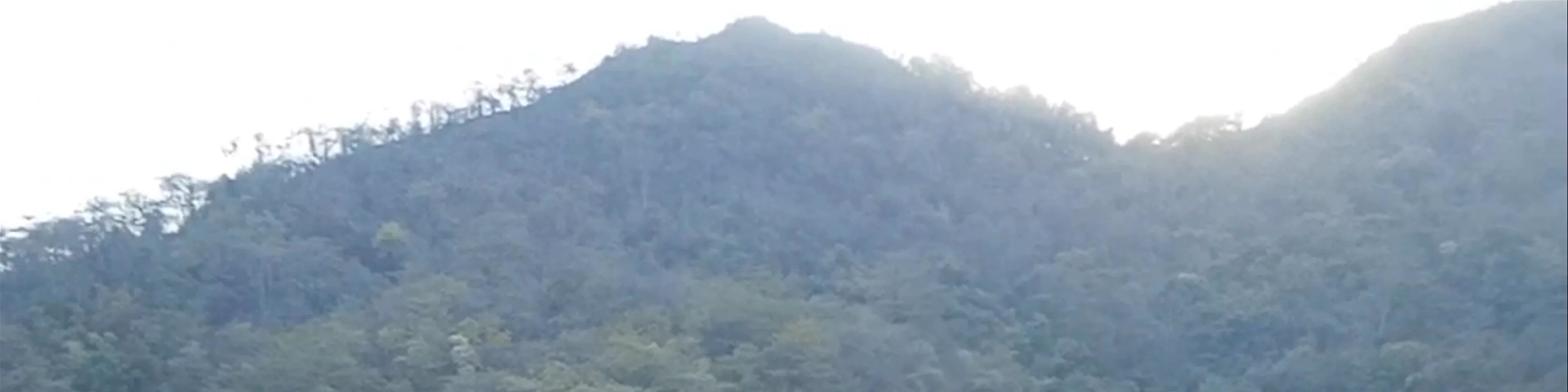Gau Ghat Rishikeah
