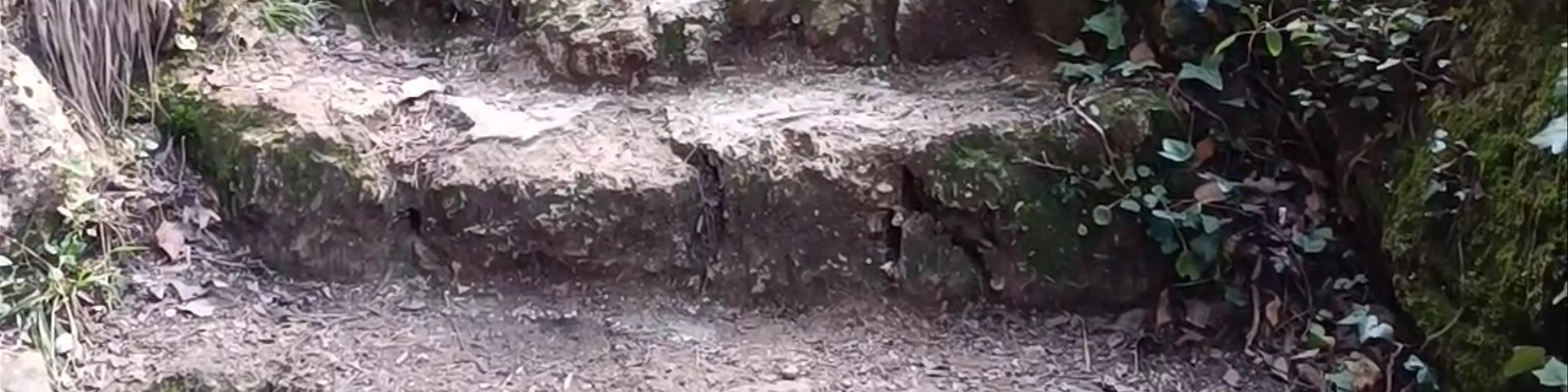 Cascada del Batán