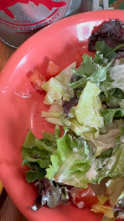 Middendorf's - Manchac - Bug in salad. - Seafood Near Me - Akers, Louisiana