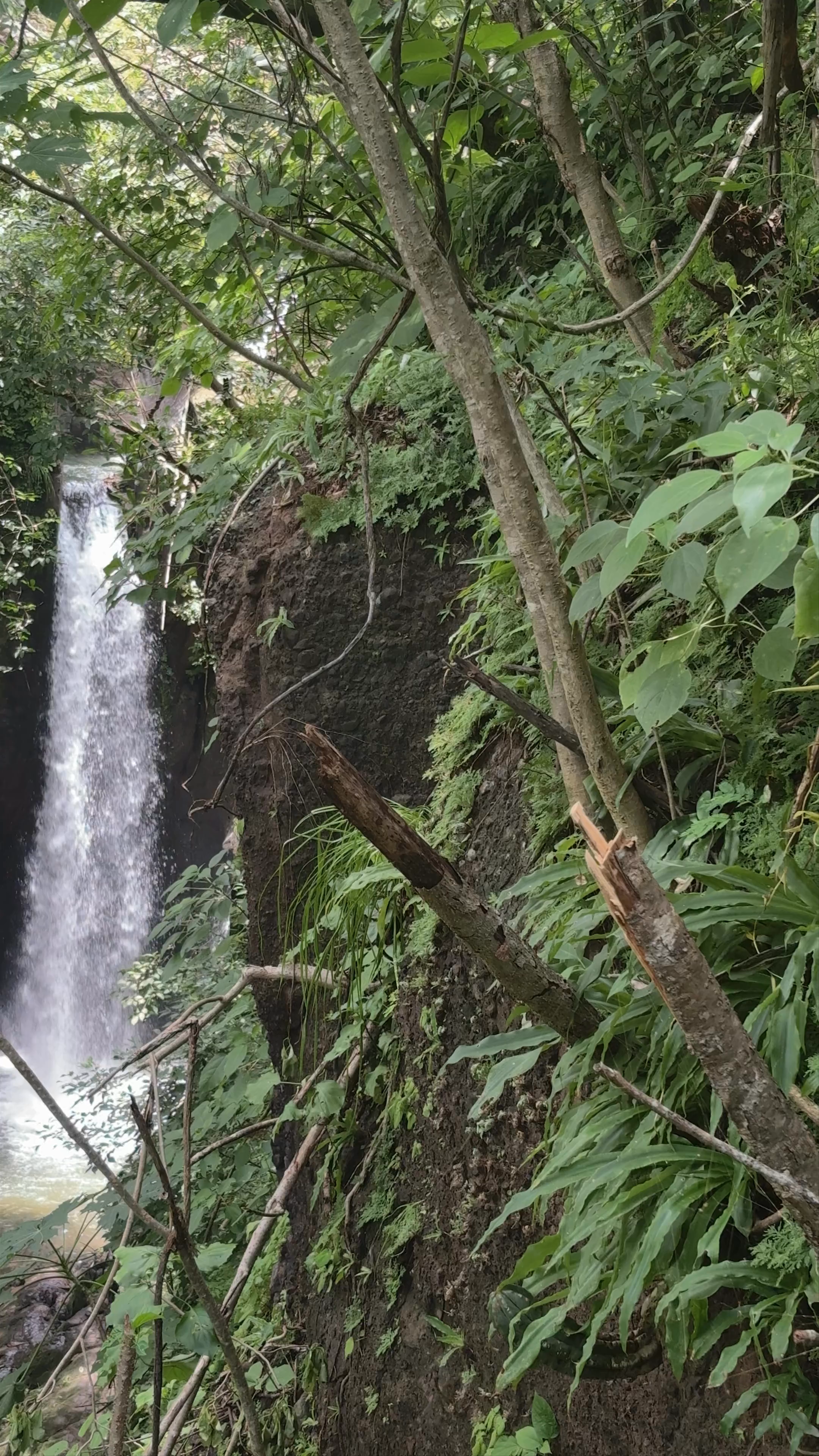 Tamanique Waterfalls