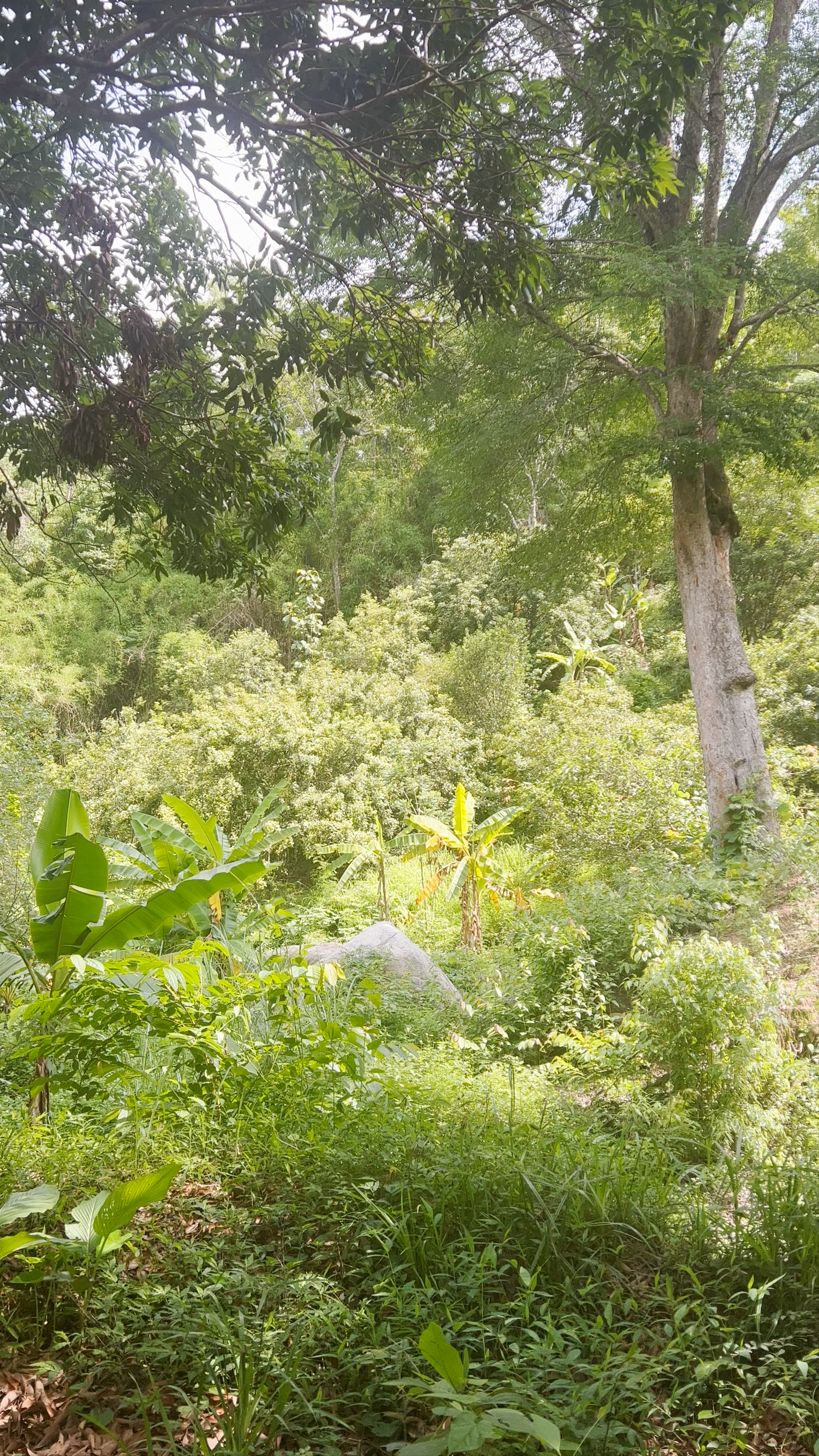 Tad Mok Waterfall Huai Kaeo